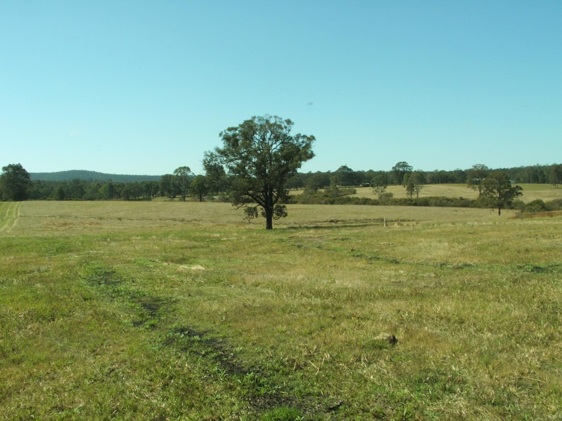 Lot 3003 Riverdowns Estate, CLARENCE TOWN NSW 2321, Clarence Town - Thumbnail 5
