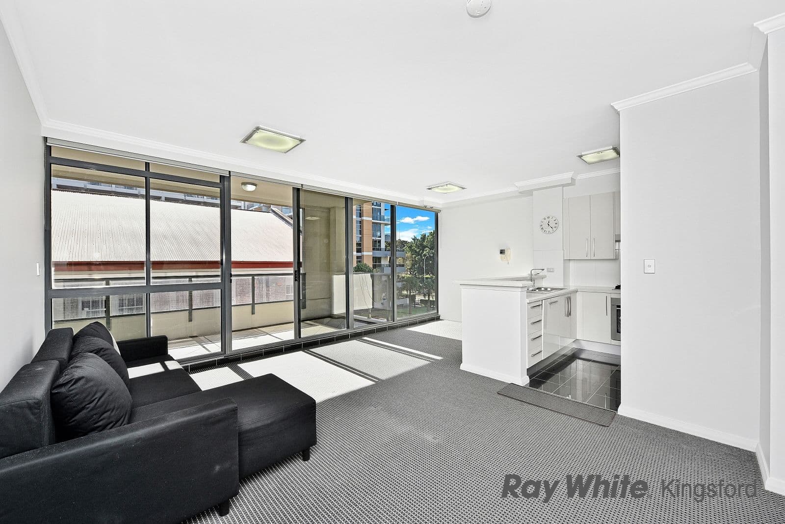13 Potter Street, Waterloo NSW 2017, Waterloo - Thumbnail 2