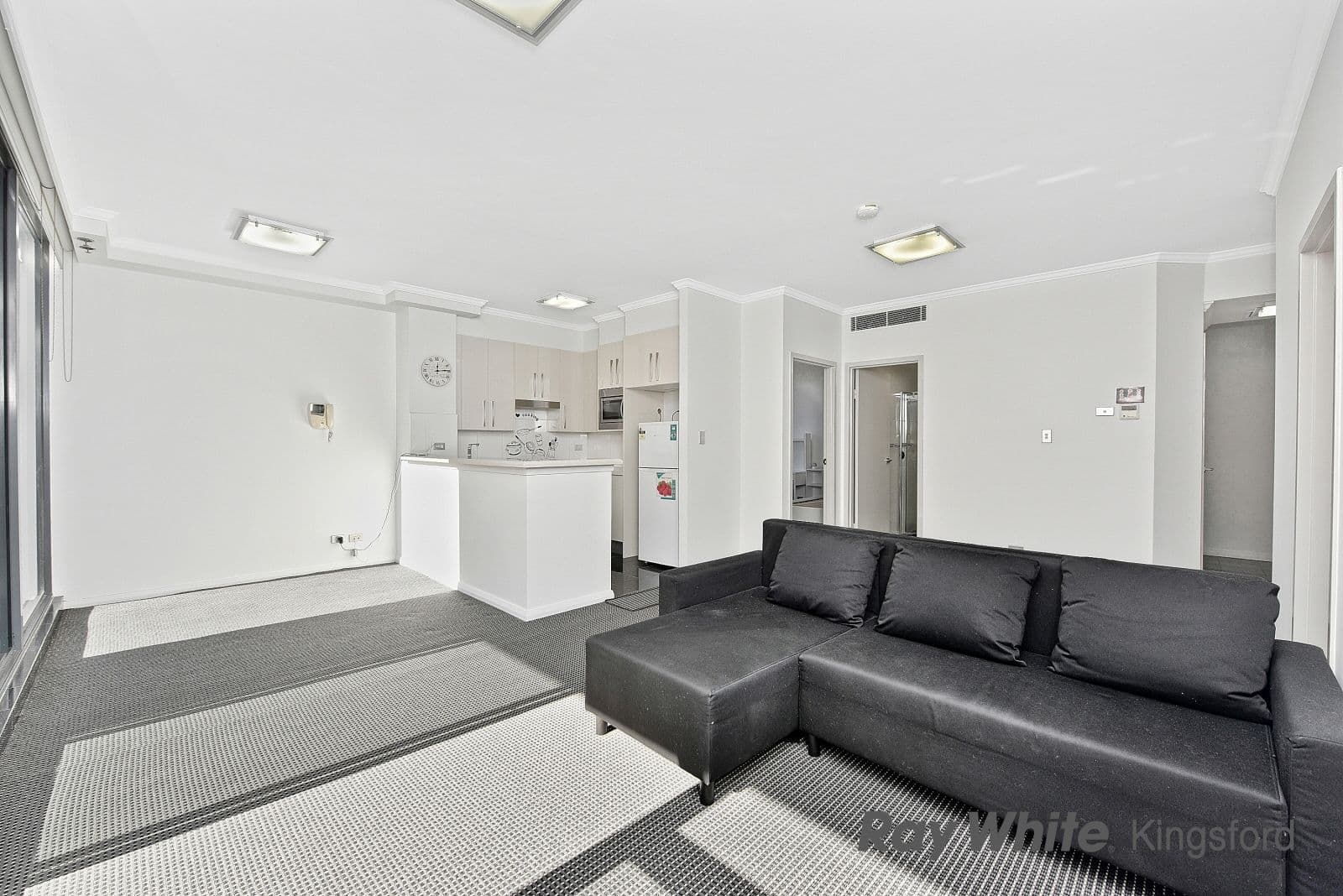 13 Potter Street, Waterloo NSW 2017, Waterloo - Thumbnail 5