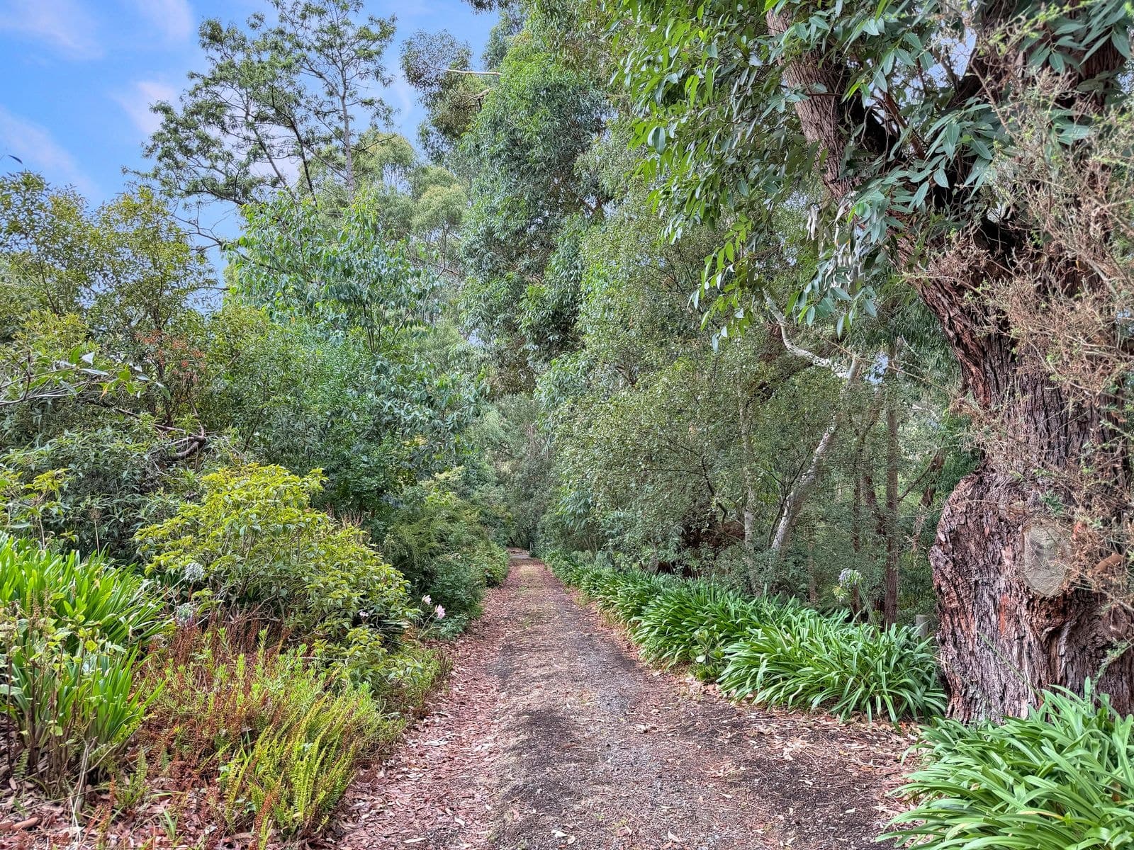 65 Lester Drive, Nyora, VIC 3987, Nyora - Thumbnail 2
