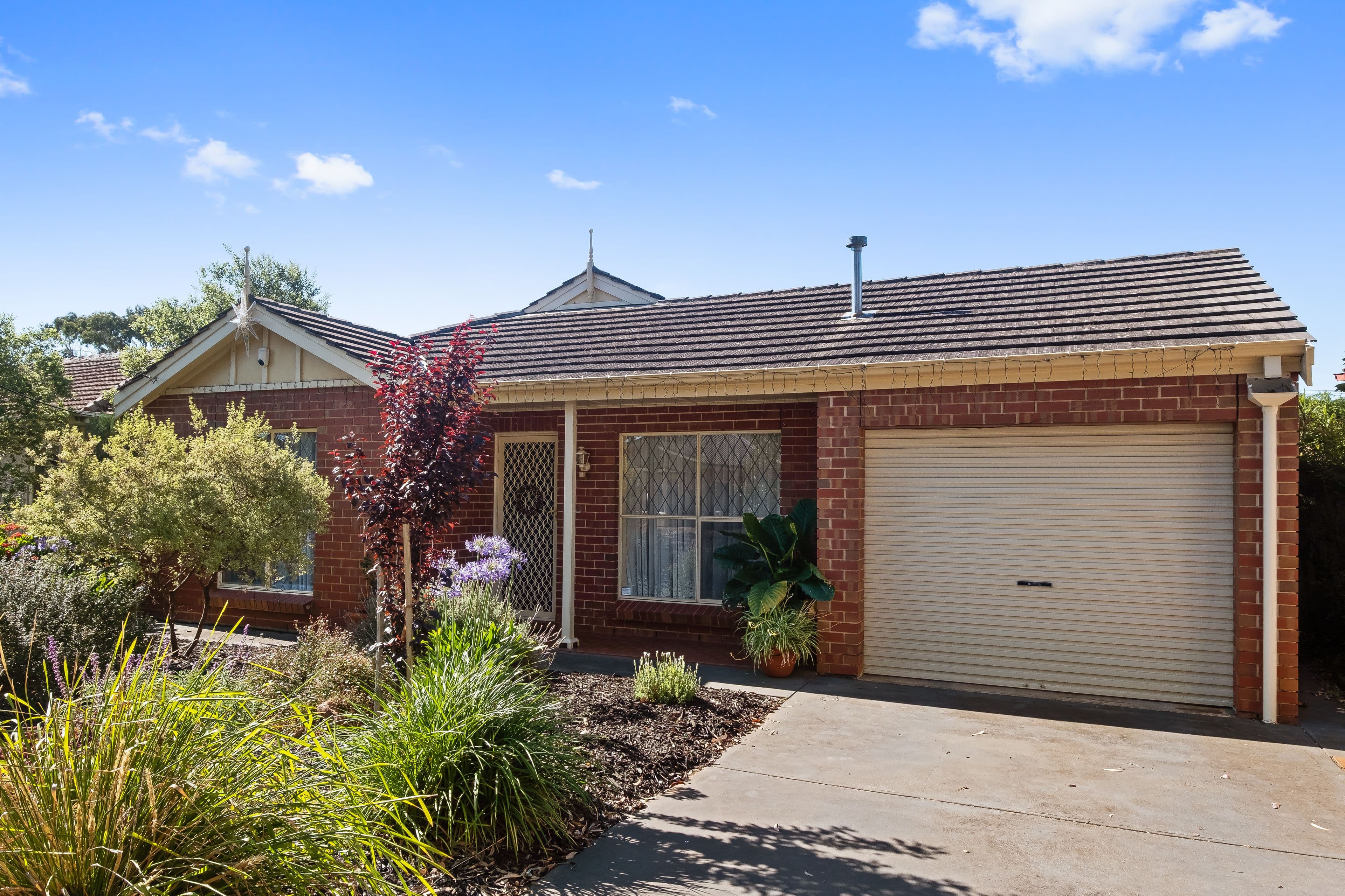 11 Exmoor Avenue, Oaklands Park SA 5046, Oaklands Park - Thumbnail 2