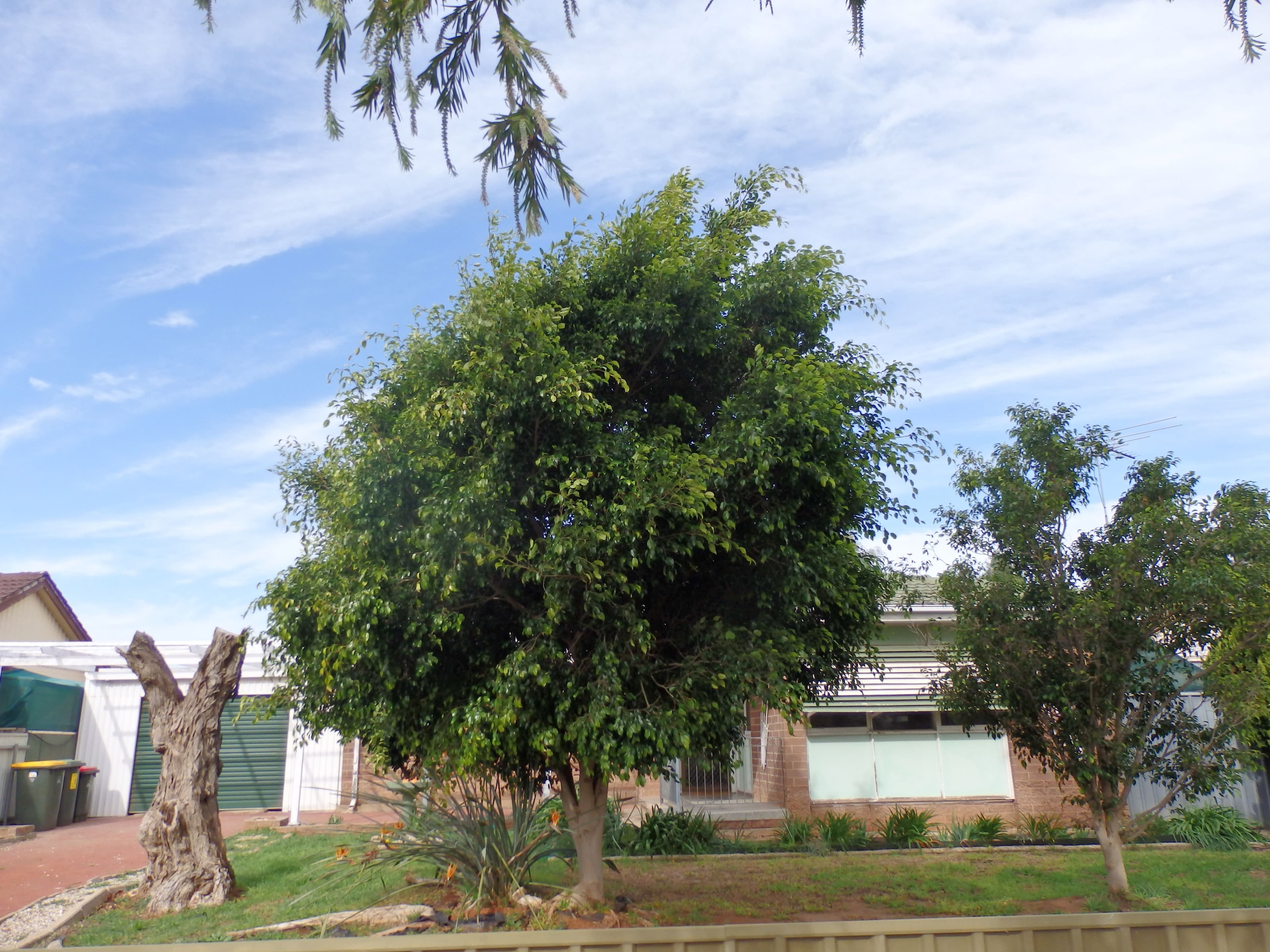 Unit 2/35 Hemmings Street, Dandenong, Dandenong - Image 1