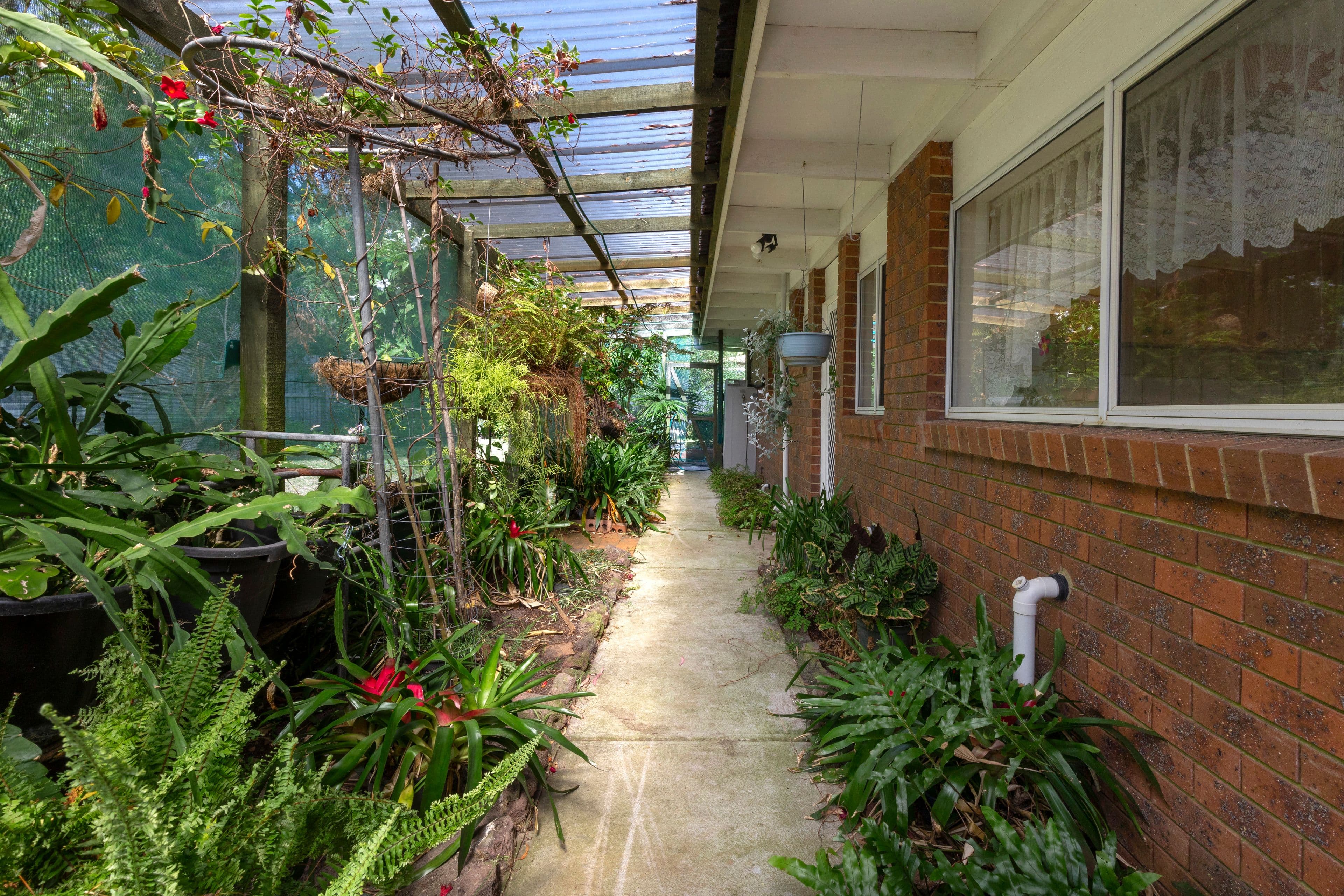 10 Pearson Court, Rosebud VIC 3939, Rosebud - Thumbnail 8