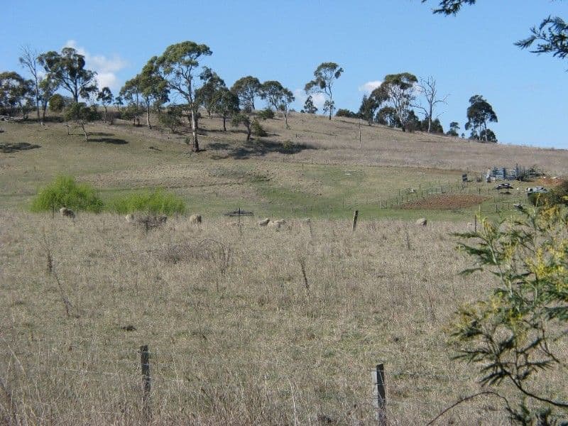 Lot 2 Cluny Road, ARMIDALE NSW 2350, Armidale - Image 1