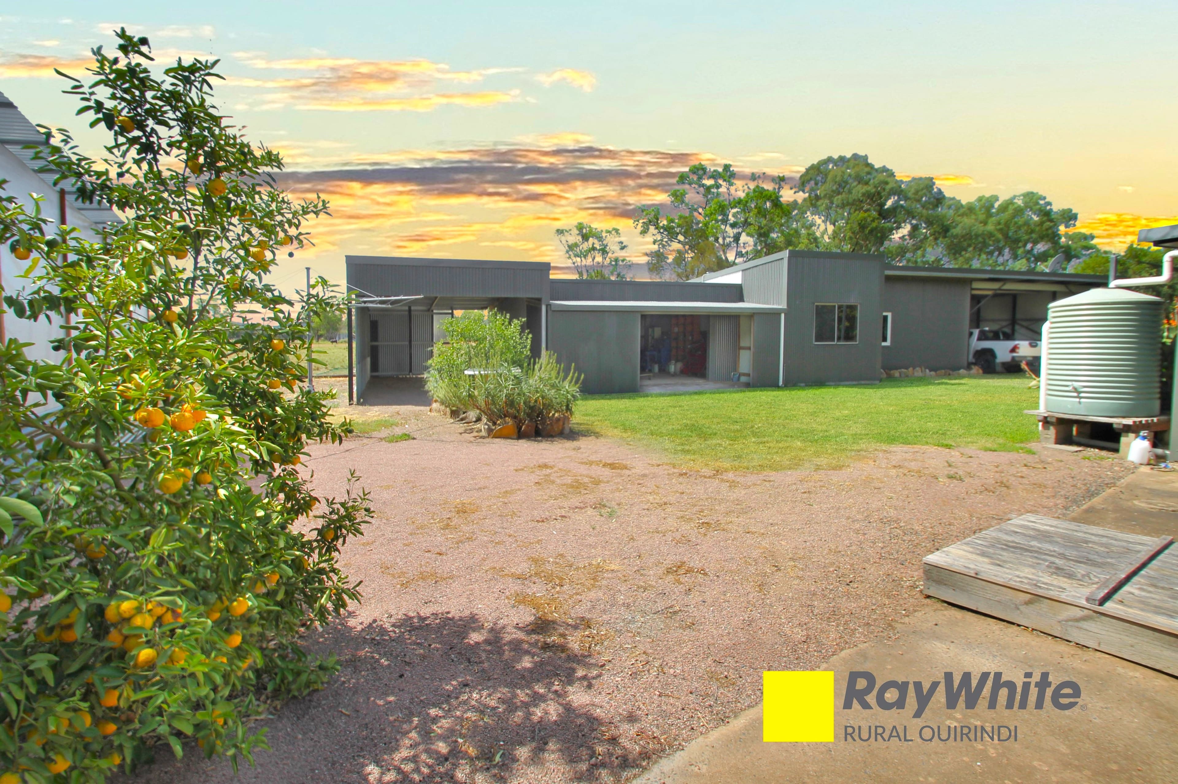 15 Pezzutos Road, Colly Blue, Spring Ridge NSW 2343, Spring Ridge - Thumbnail 5