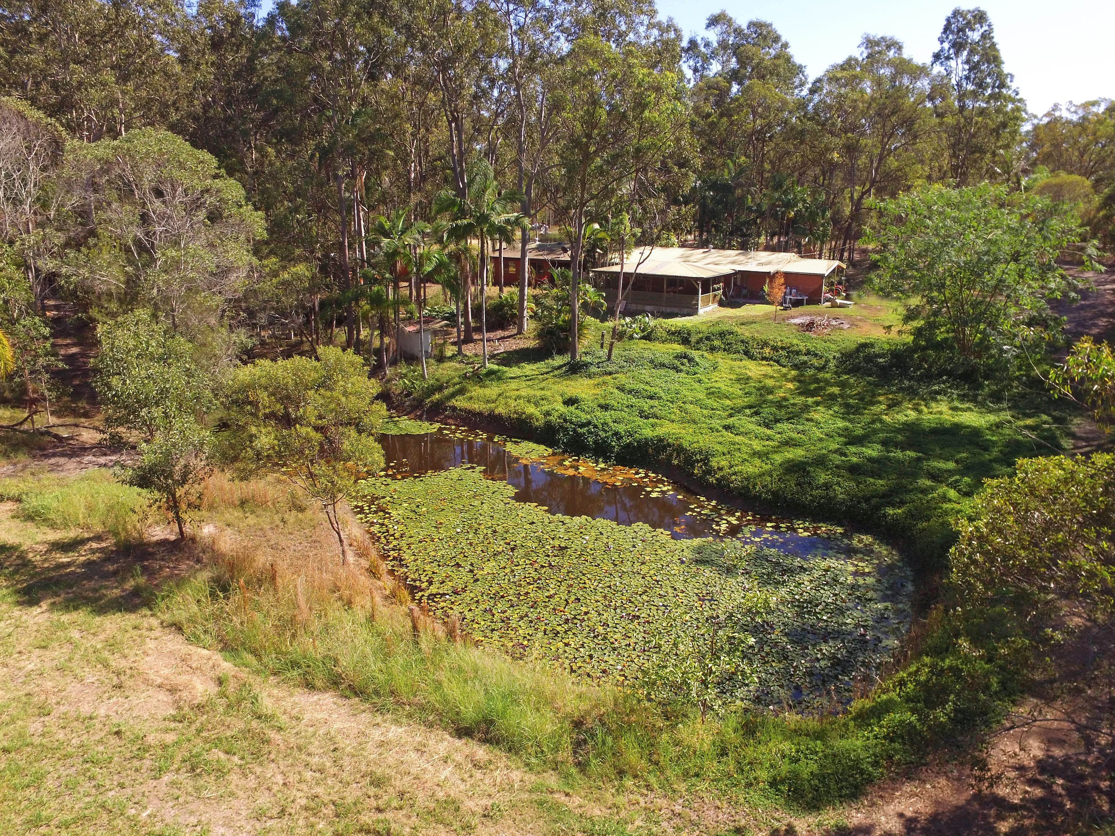 55 Dunne Road, Burbank QLD 4156, Burbank - Thumbnail 2