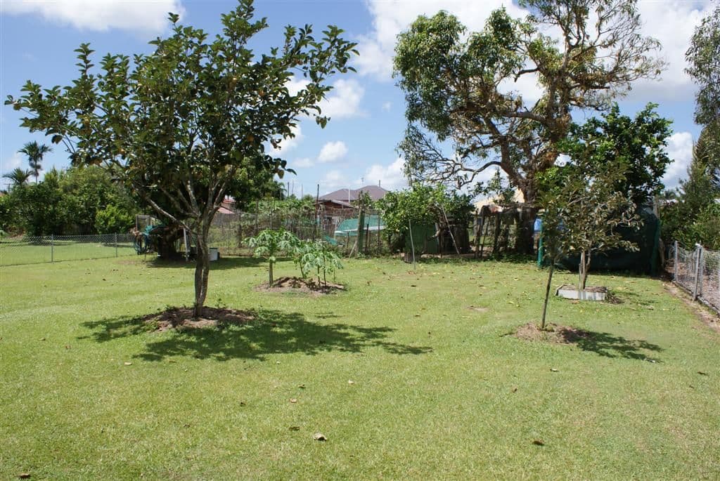 26 glasgow Street, EL ARISH QLD 4855, El Arish - Thumbnail 8