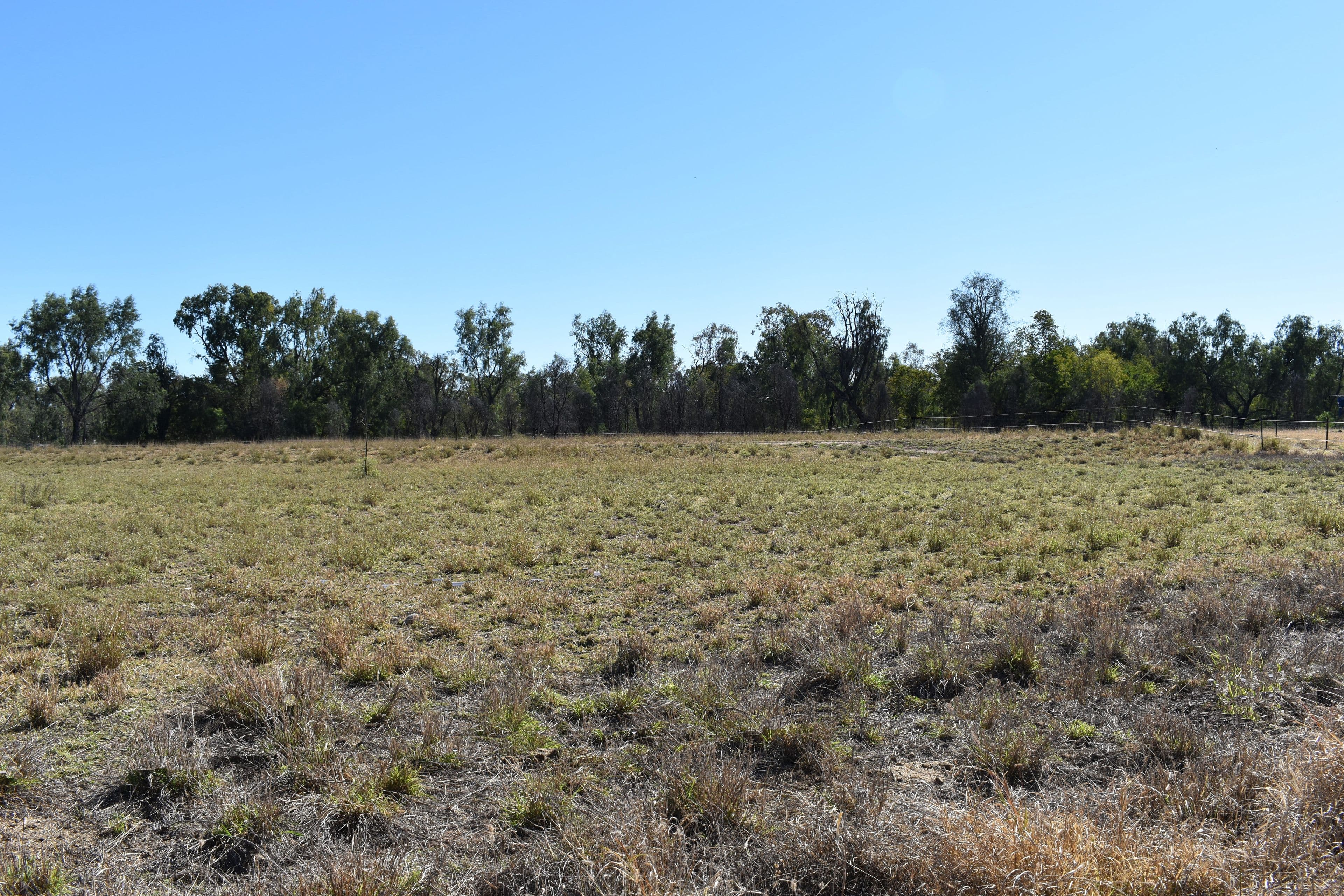 Lot 3 Chudleigh Drive, Emerald QLD 4720, Emerald - Thumbnail 2