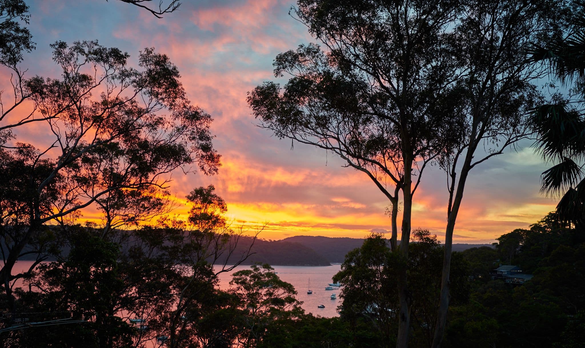 870 Barrenjoey Road, Palm Beach - Thumbnail 8
