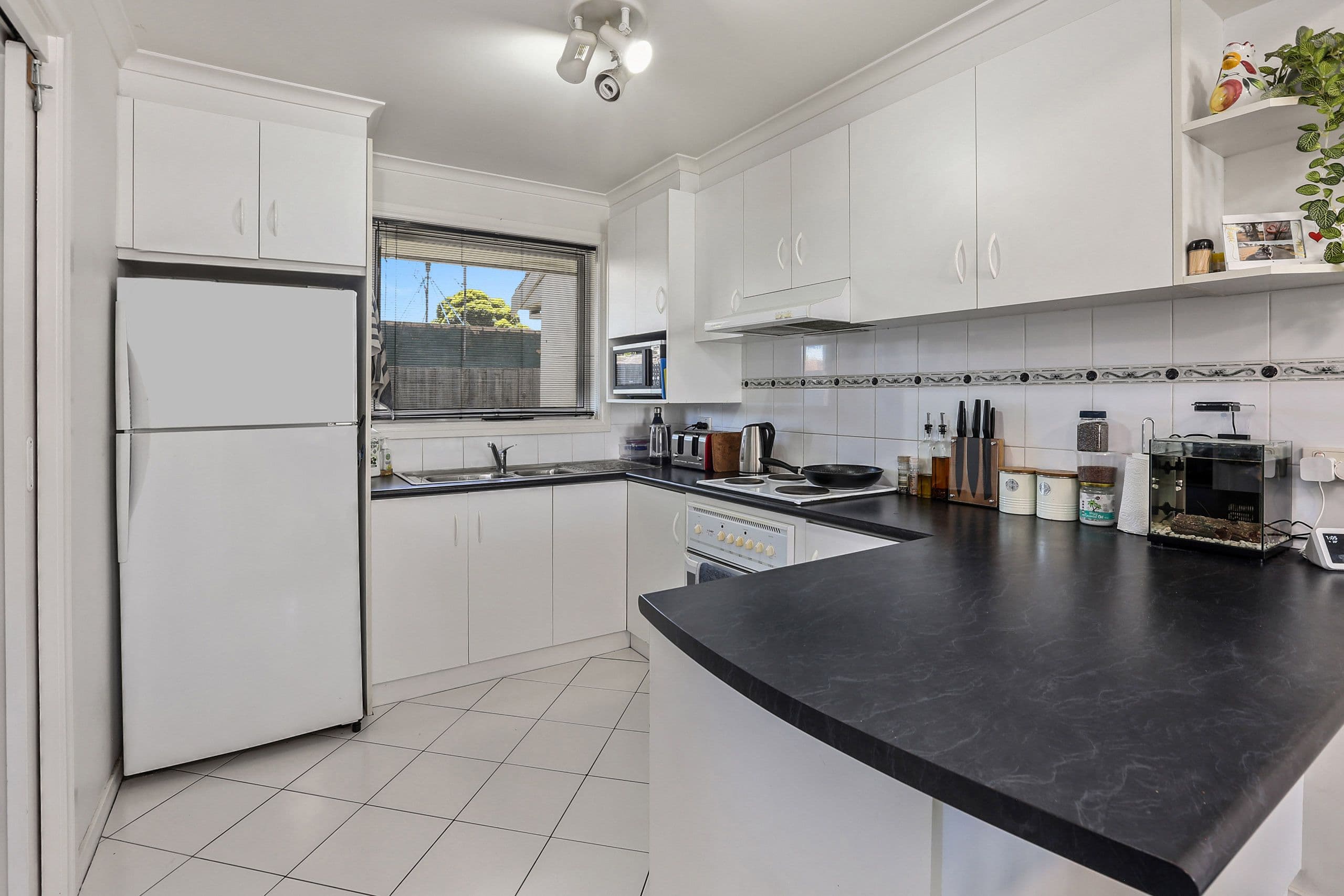 82 Braund Avenue, Bell Post Hill VIC 3215, Bell Post Hill - Thumbnail 3