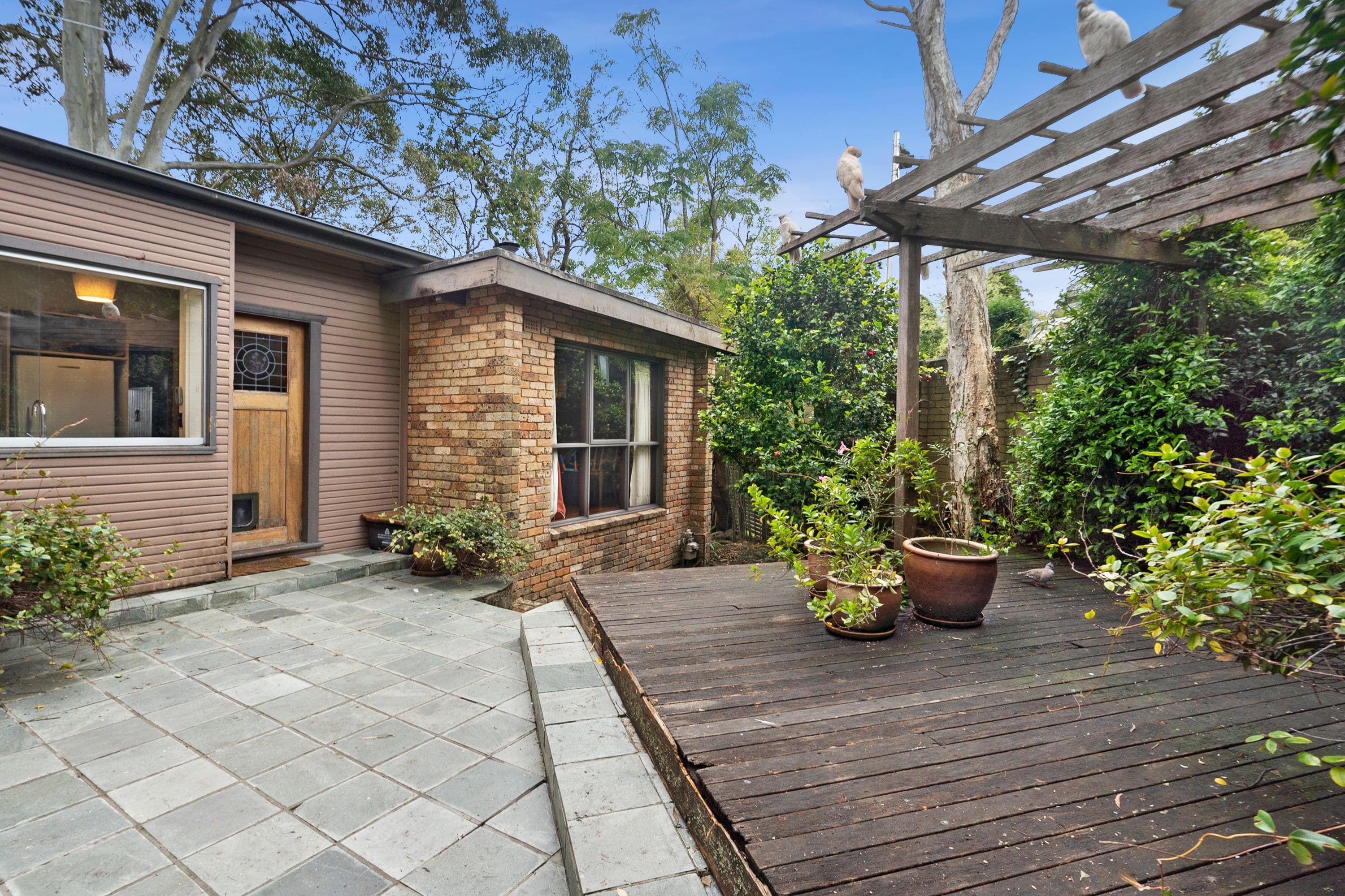 11 Bangalla Place, Forestville NSW 2087, Forestville - Image 1