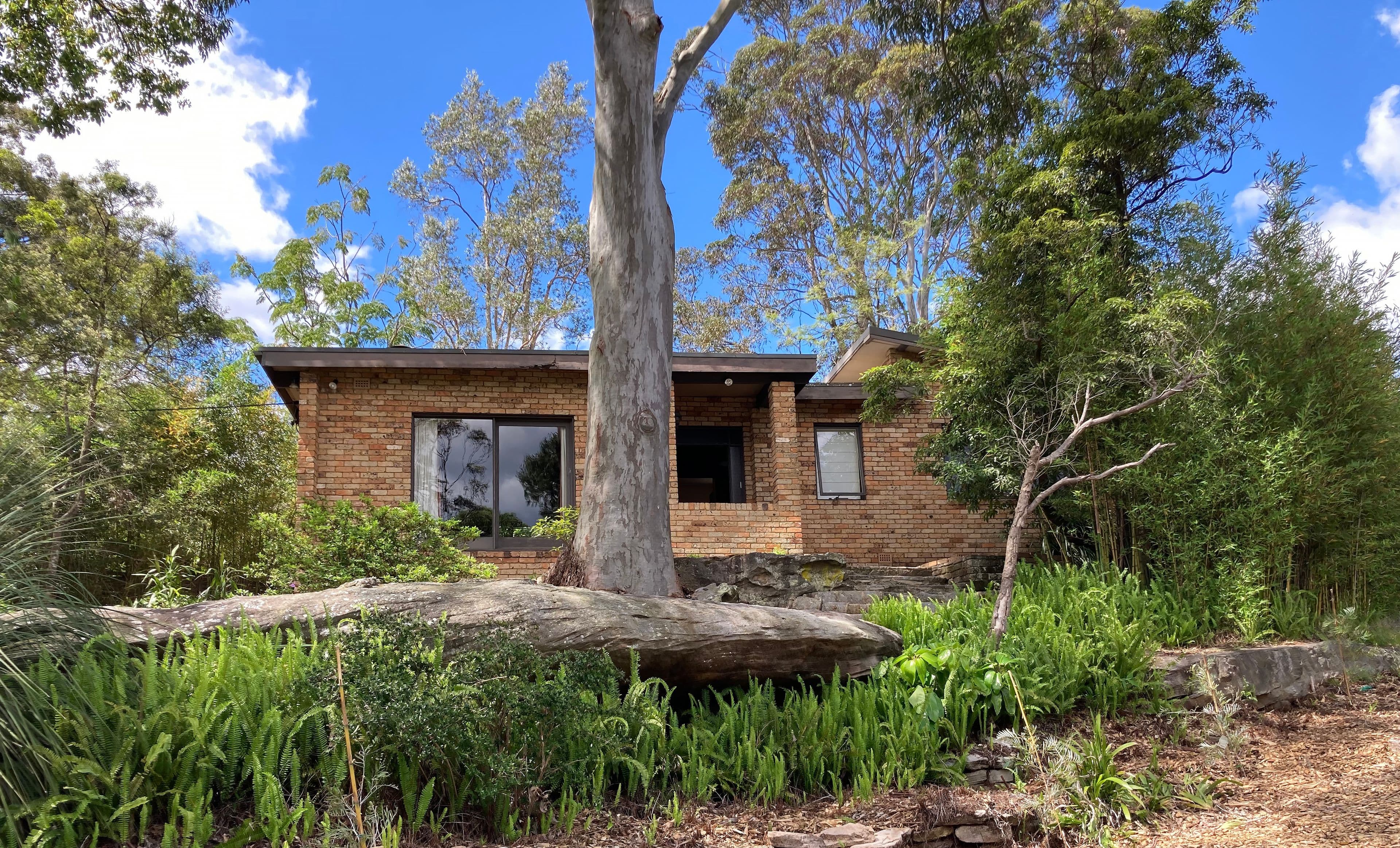 11 Bangalla Place, Forestville NSW 2087, Forestville - Thumbnail 7