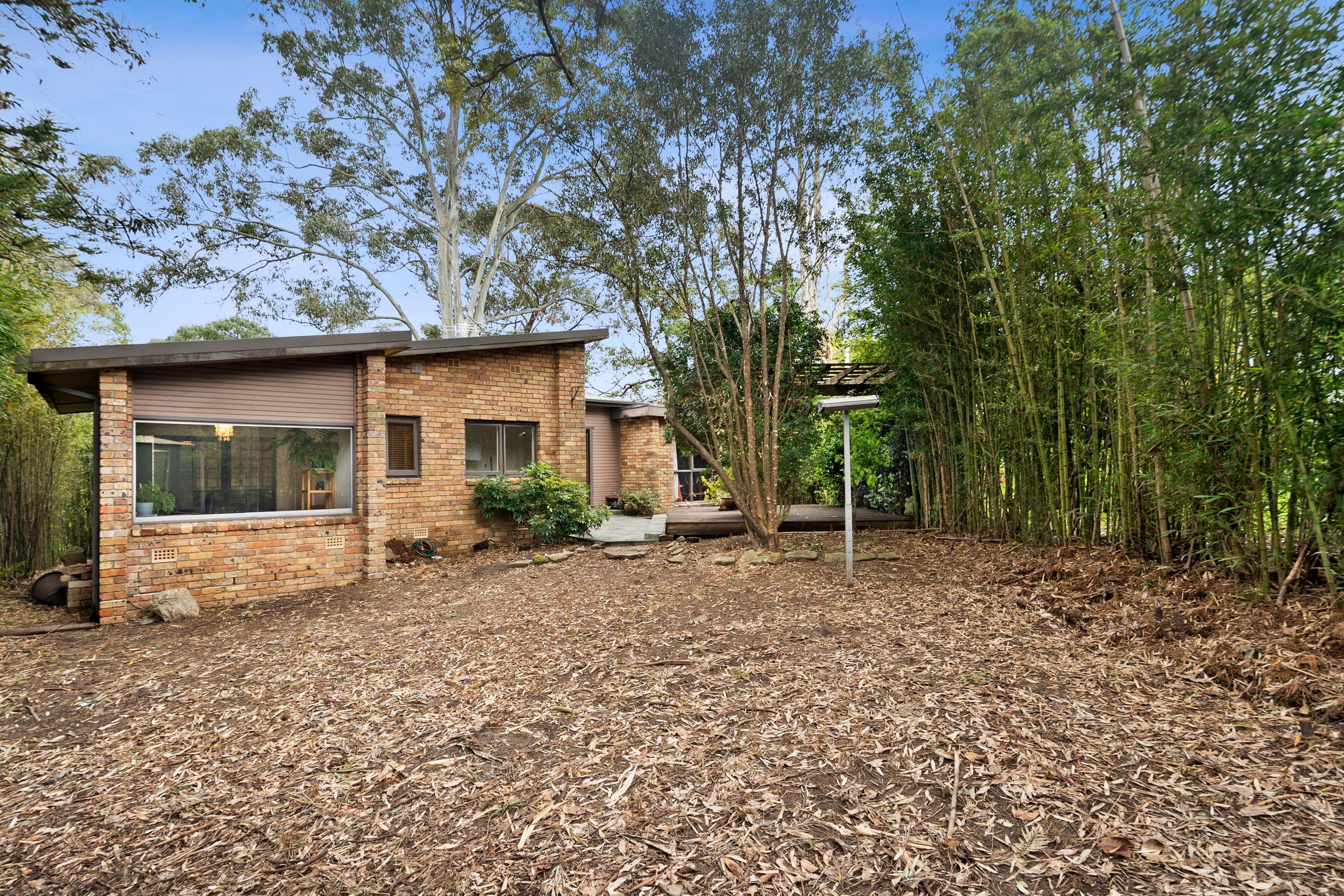 11 Bangalla Place, Forestville NSW 2087, Forestville - Thumbnail 8