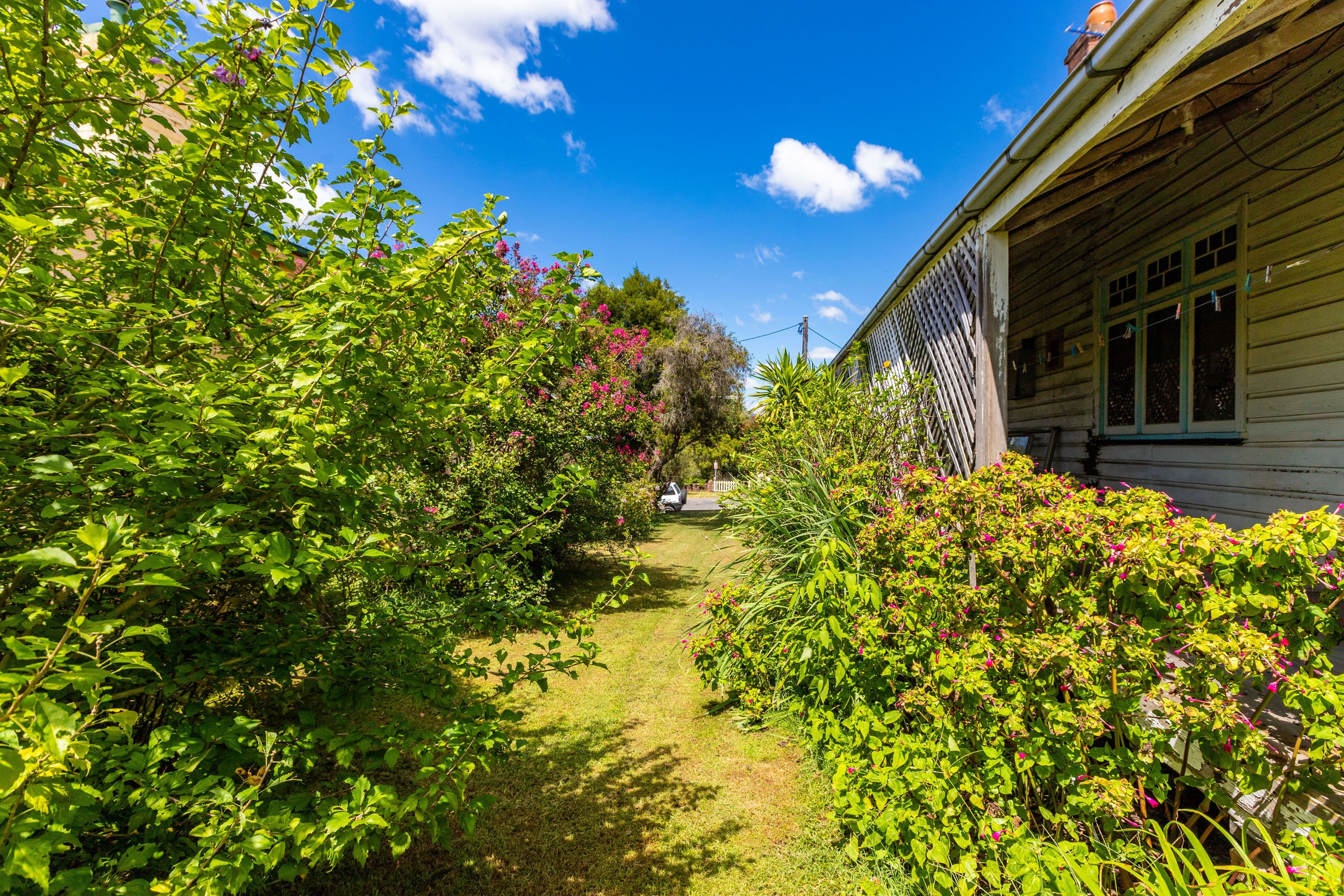 87 Hooke Street, Dungog NSW 2420, Dungog - Thumbnail 6