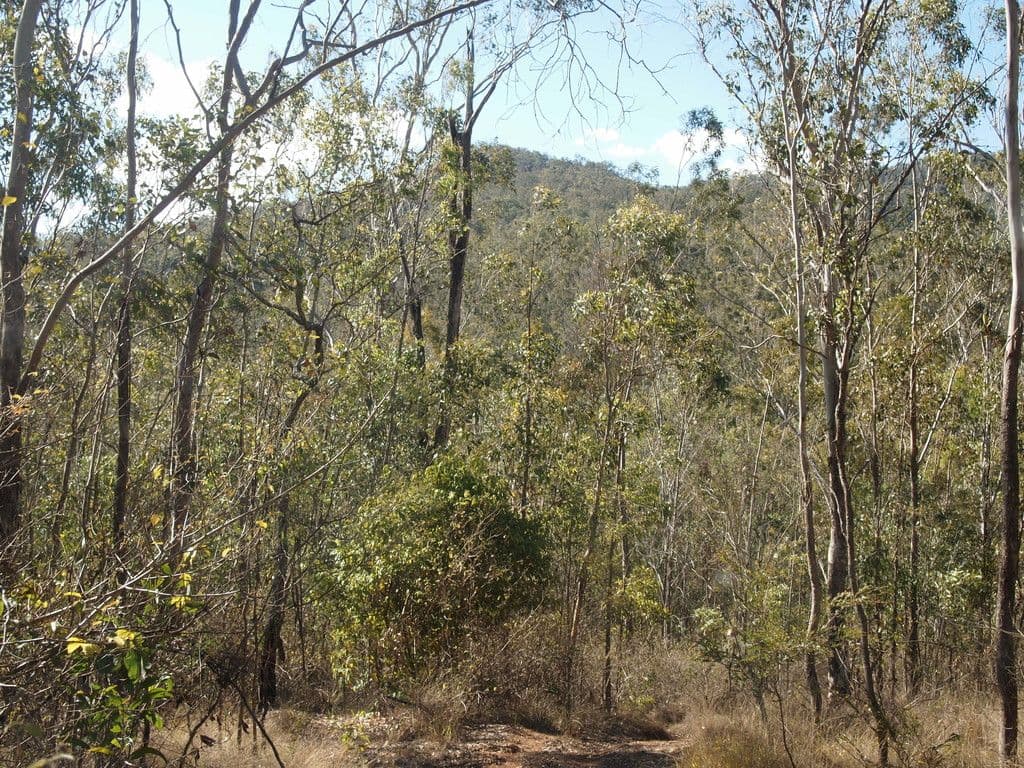 BANKS CREEK QLD 4306, Banks Creek - Thumbnail 4