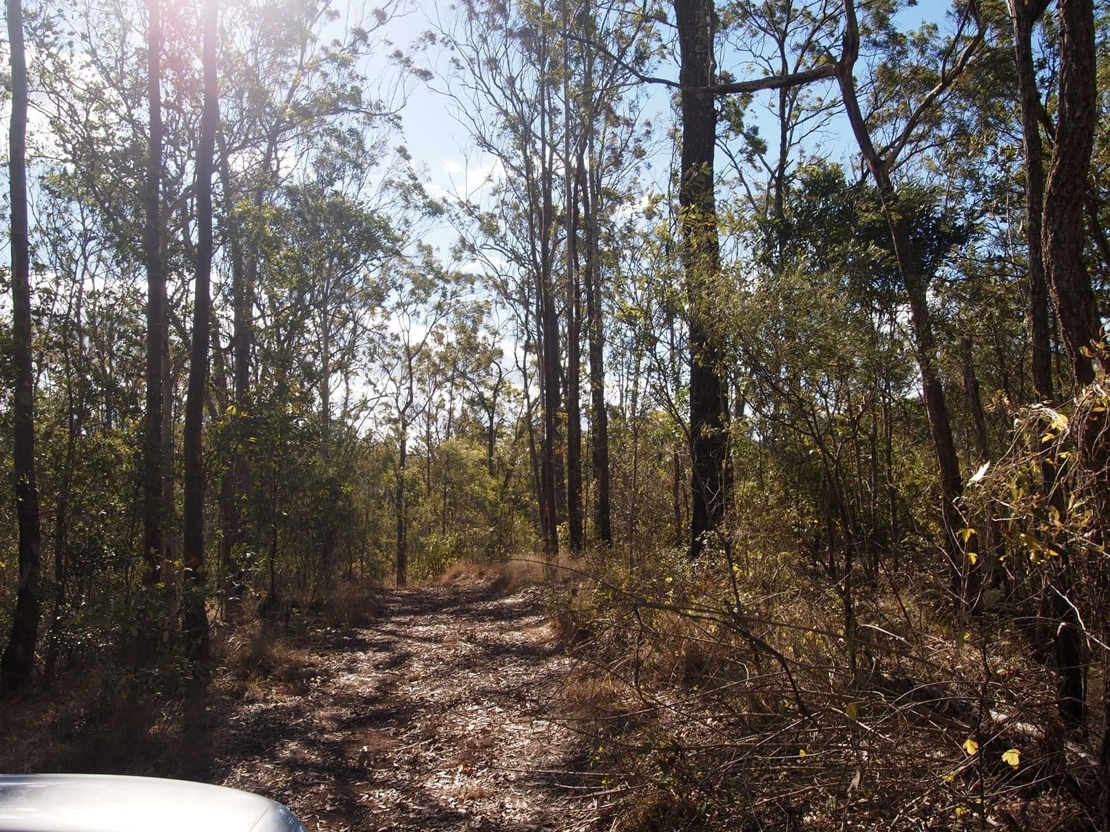 BANKS CREEK QLD 4306, Banks Creek - Thumbnail 5