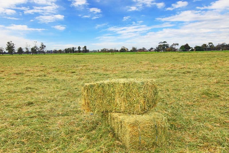 Lot 1 Greenwell Point Road, Pyree NSW 2540, Pyree - Thumbnail 2
