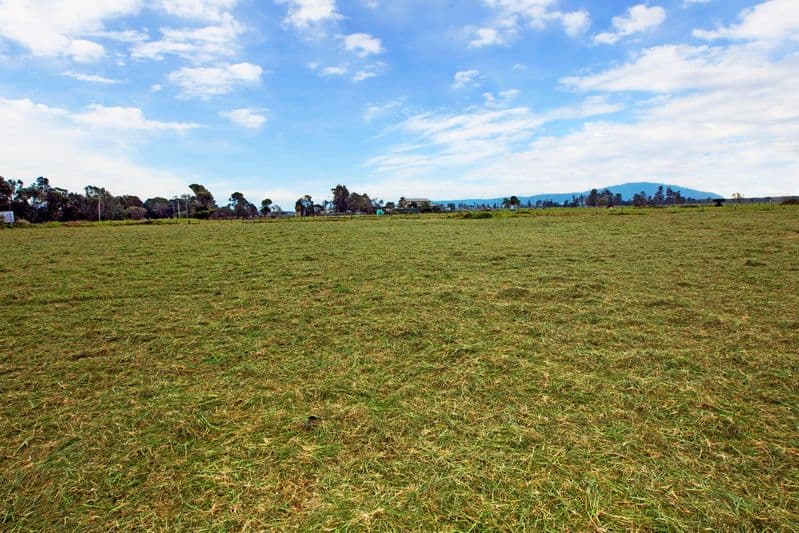 Lot 1 Greenwell Point Road, Pyree NSW 2540, Pyree - Thumbnail 3