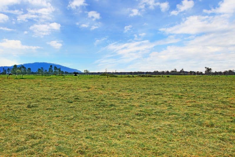 Lot 1 Greenwell Point Road, Pyree NSW 2540, Pyree - Thumbnail 4
