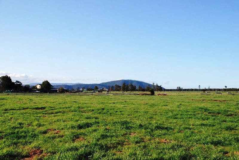 Lot 1 Greenwell Point Road, Pyree NSW 2540, Pyree - Thumbnail 6