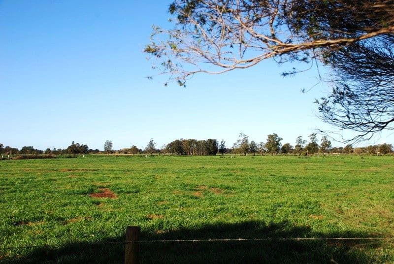 Lot 1 Greenwell Point Road, Pyree NSW 2540, Pyree - Thumbnail 8