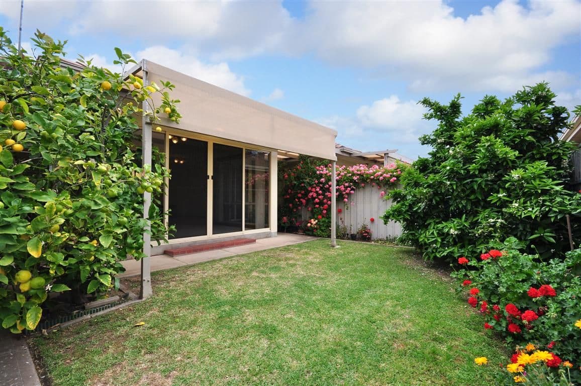 56 Condada Avenue, PARK HOLME SA 5043, Park Holme - Thumbnail 2