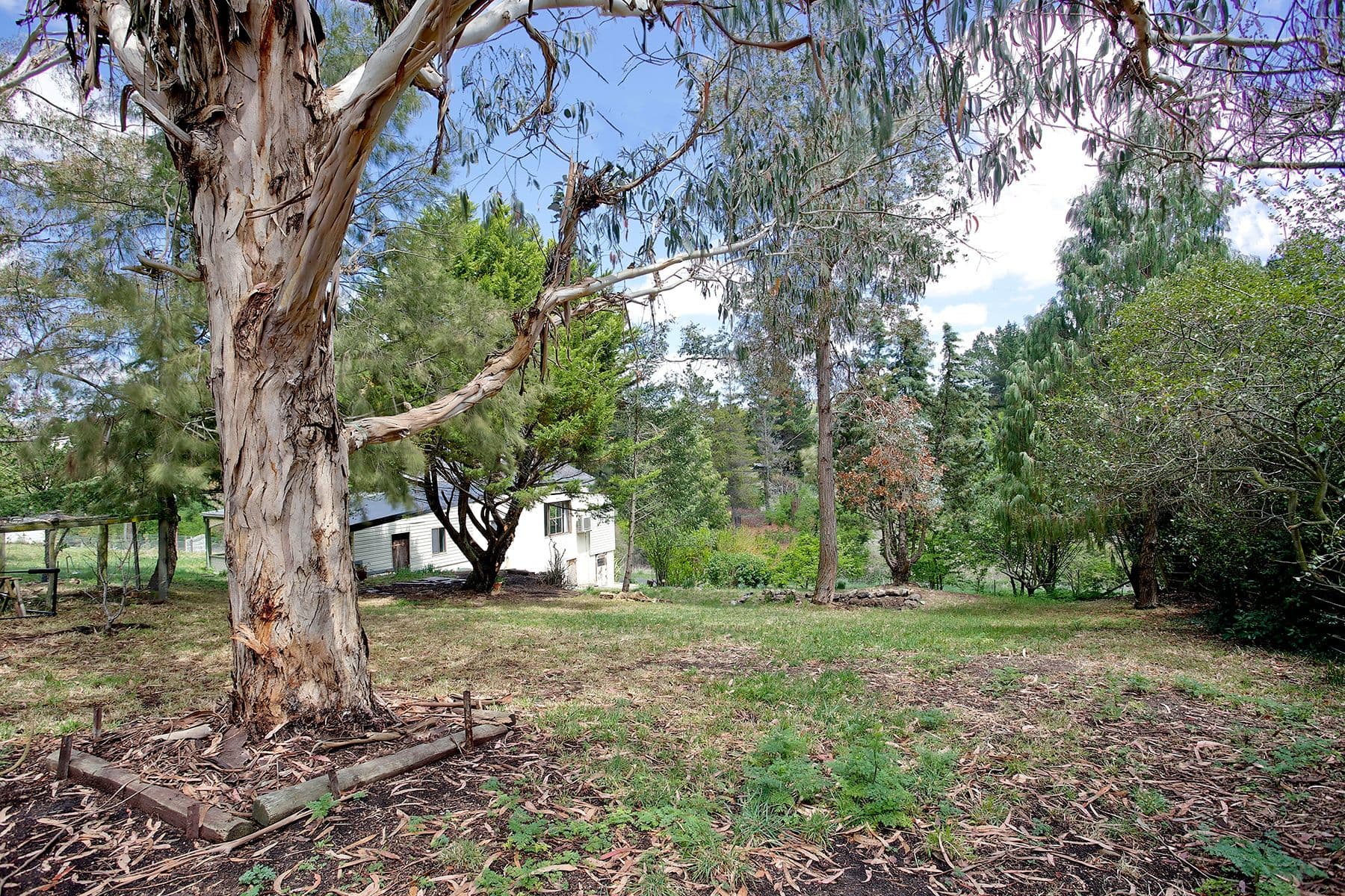 93 Sydney Street, Glenunga SA 5064, Glenunga - Thumbnail 8
