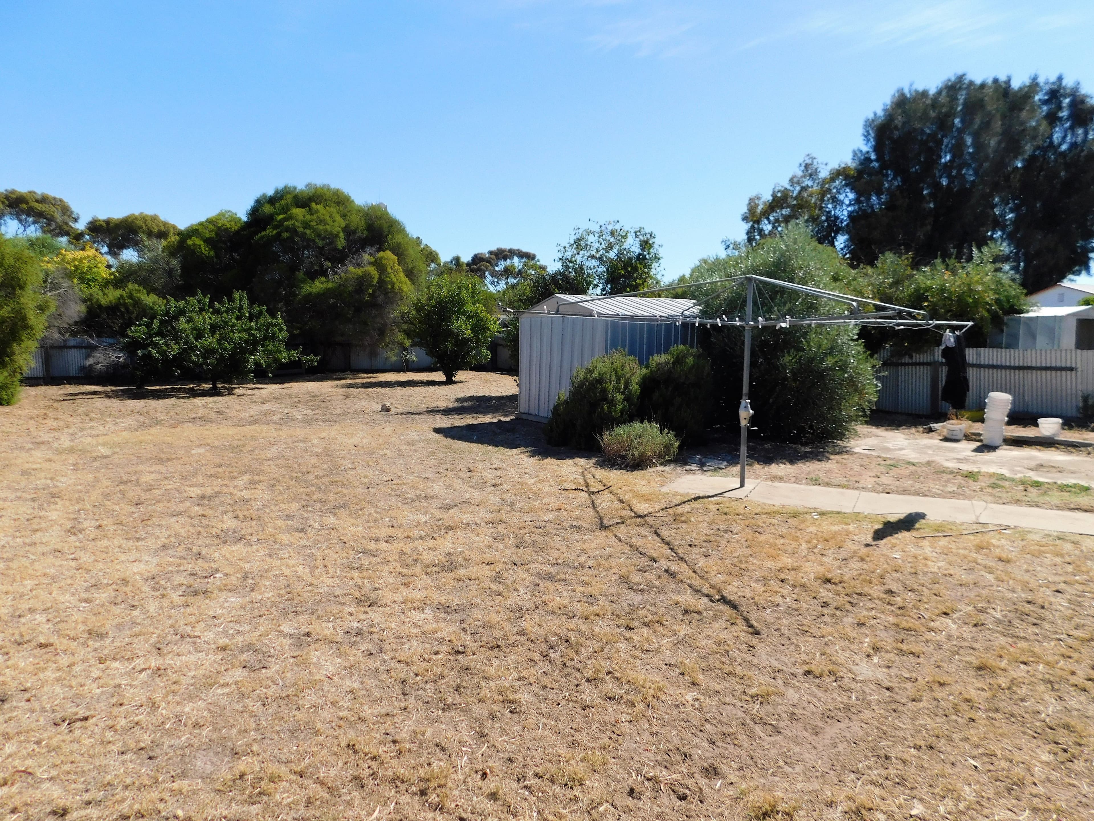25 Cotton Street, Bordertown SA 5268, Bordertown - Thumbnail 5