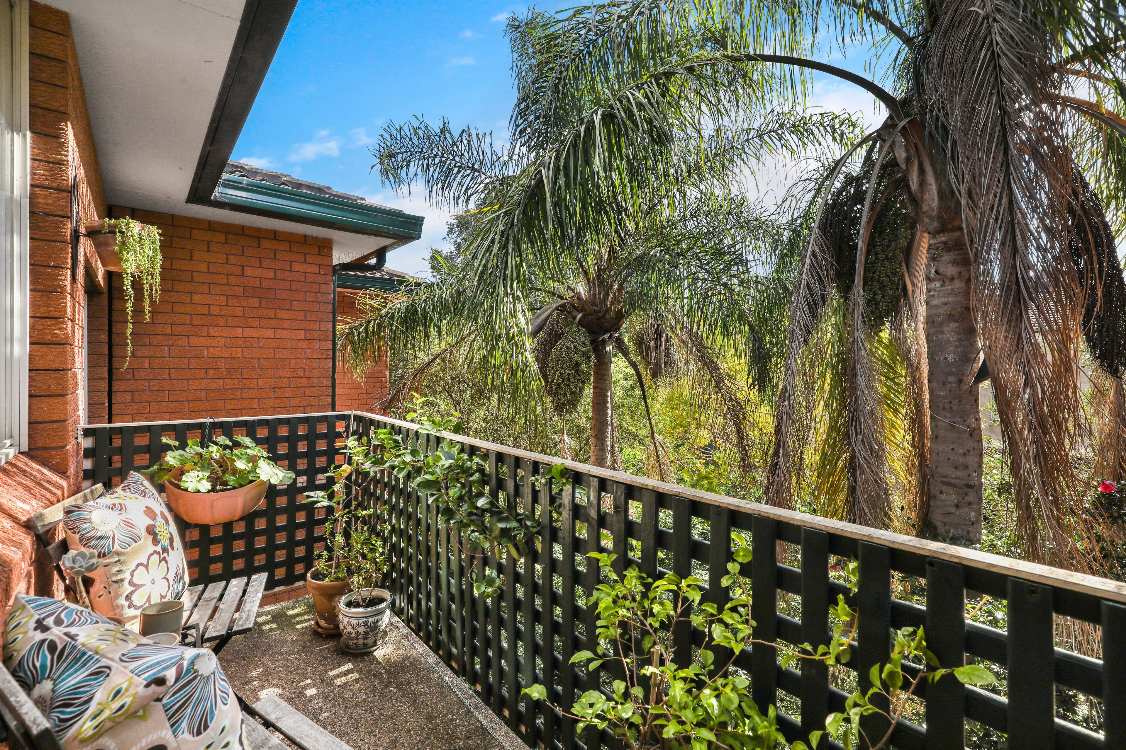 20-22 Myra Road, Dulwich Hill NSW 2203, Dulwich Hill - Thumbnail 2