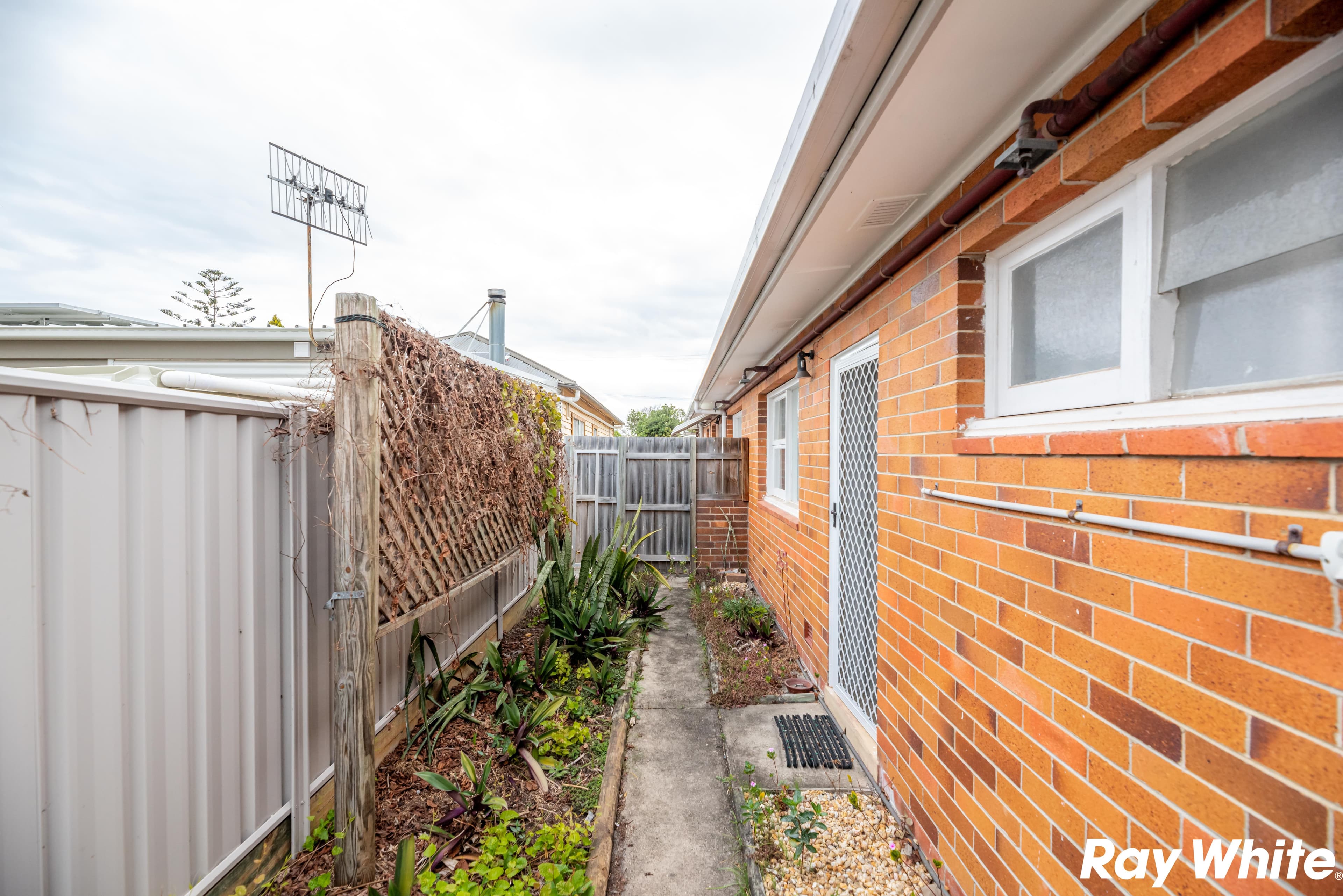41 Wallis Street, Forster NSW 2428, Forster - Thumbnail 8