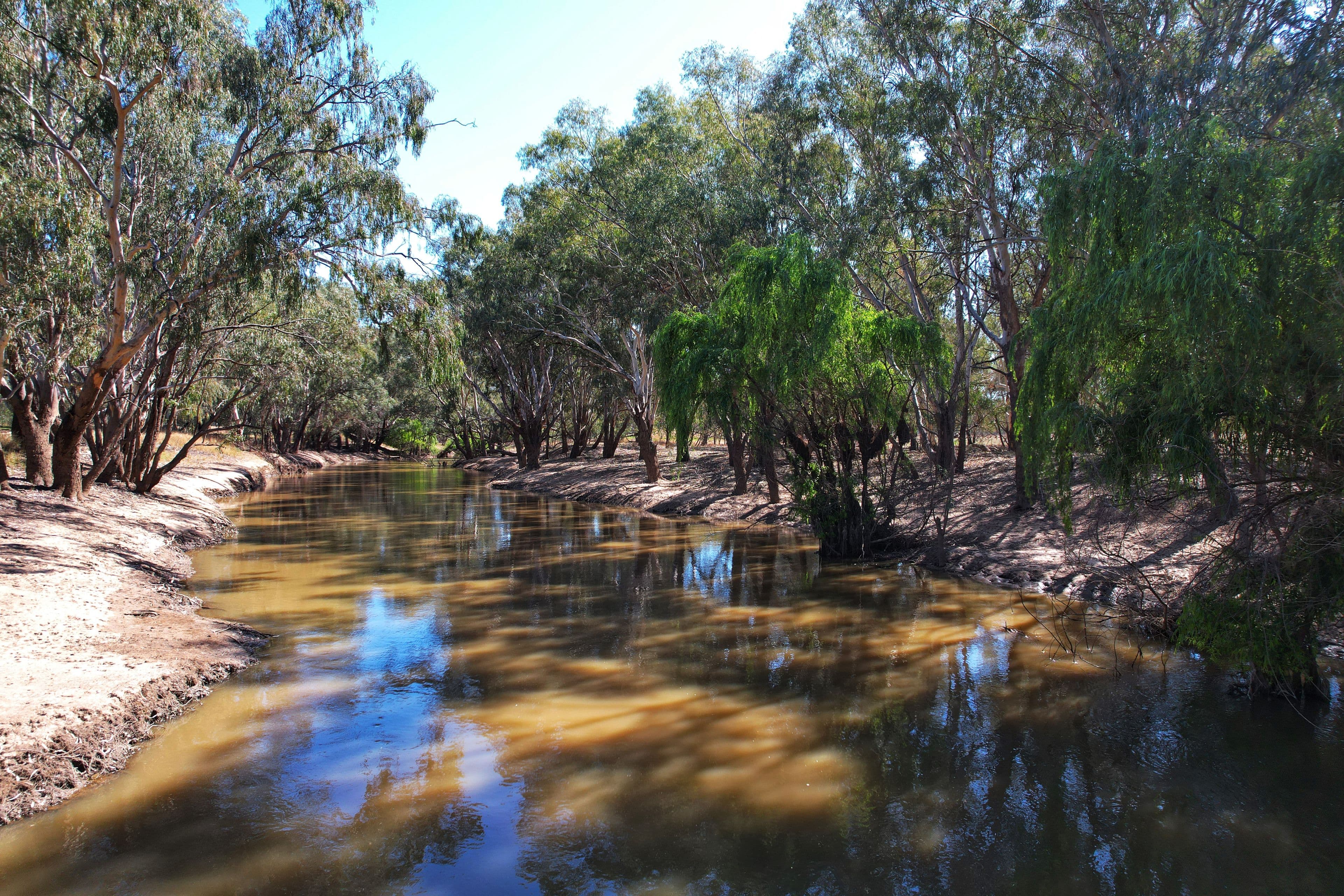 7 Mooney Street, Condobolin NSW 2877, Condobolin - Thumbnail 3