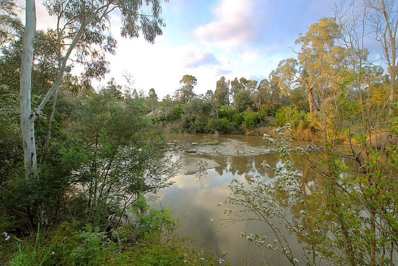 13 Atkinson Street, TEMPLESTOWE VIC 3106, Templestowe - Thumbnail 7