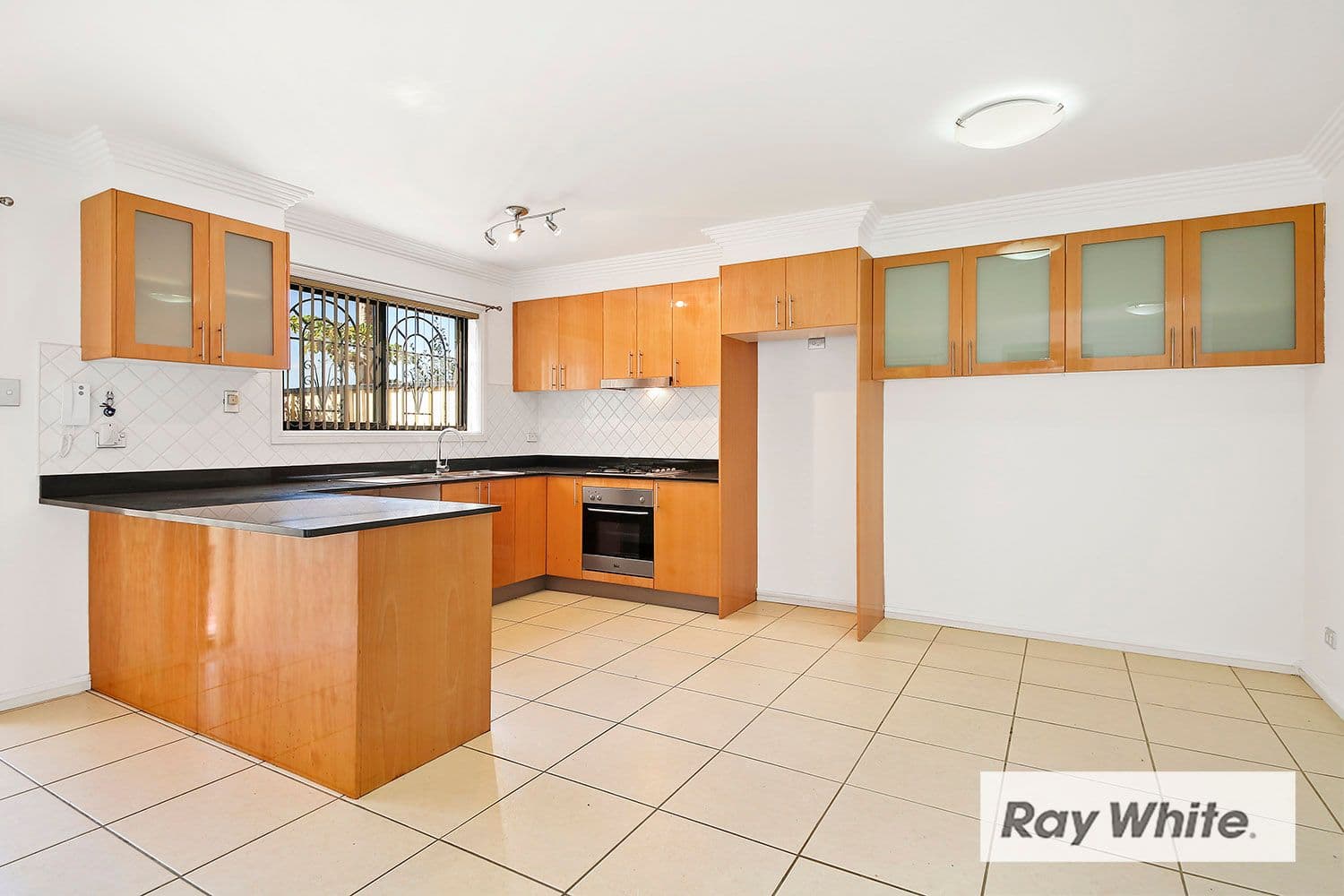 115-119 John Street, Lidcombe NSW 2141, Lidcombe - Thumbnail 3