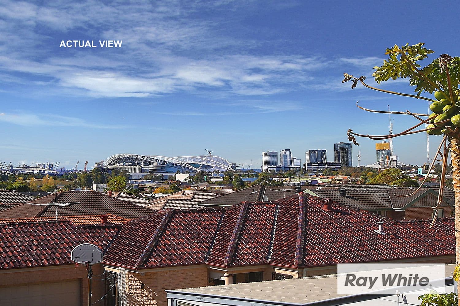 115-119 John Street, Lidcombe NSW 2141, Lidcombe - Thumbnail 7