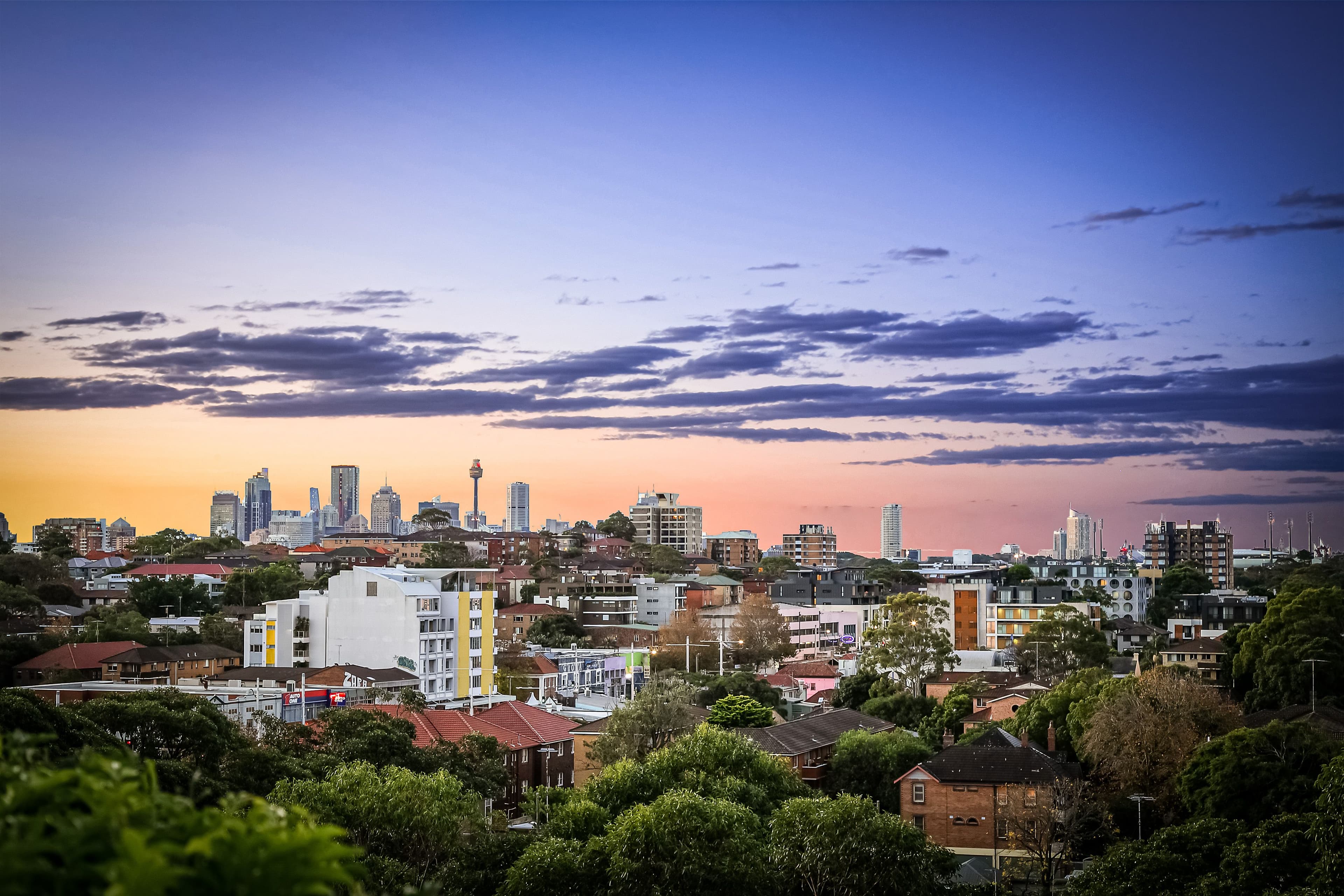 264 Anzac Parade, Kensington NSW 2033, Kensington - Thumbnail 3