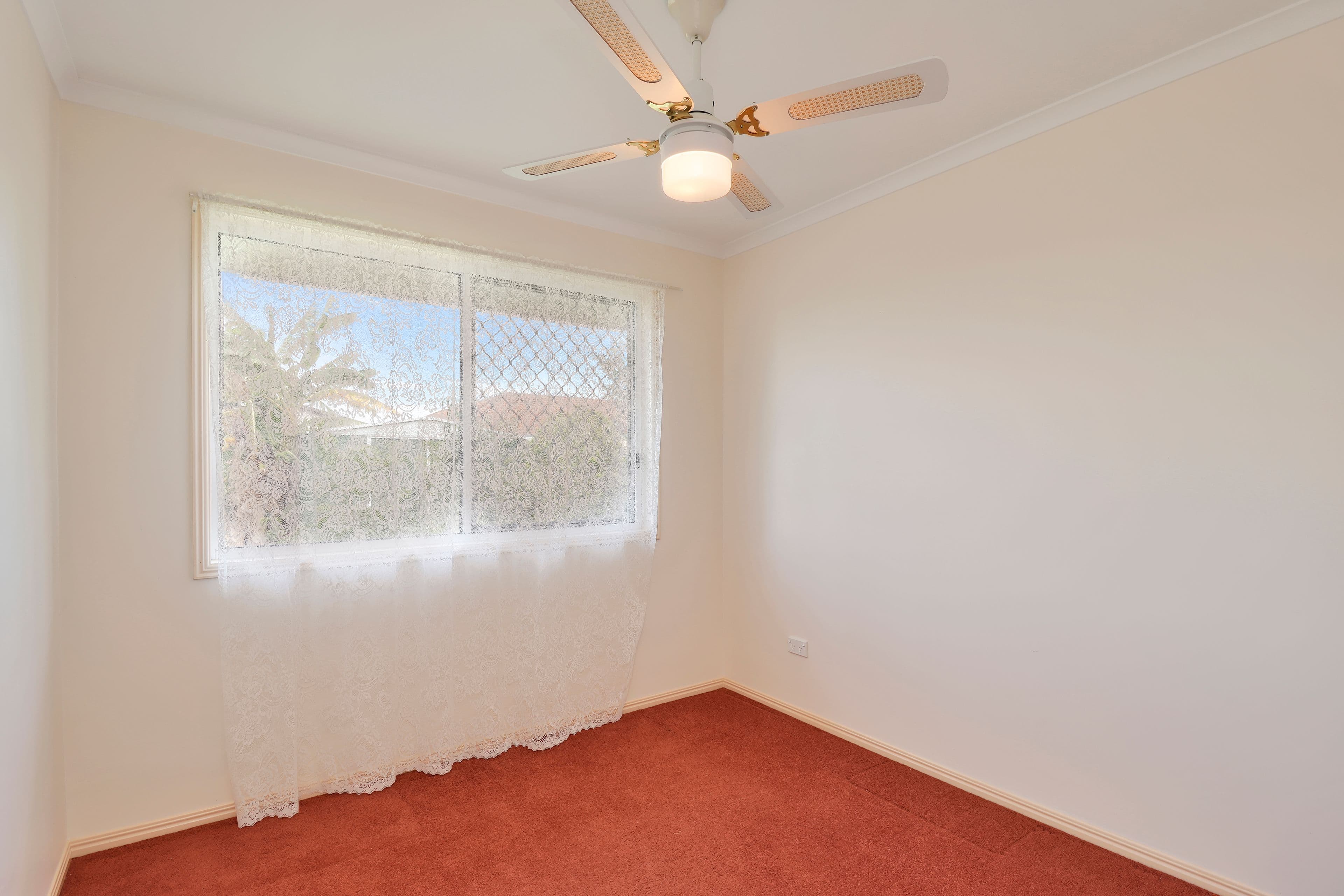 88 Honiton Street, Torquay QLD 4655, Torquay - Thumbnail 8
