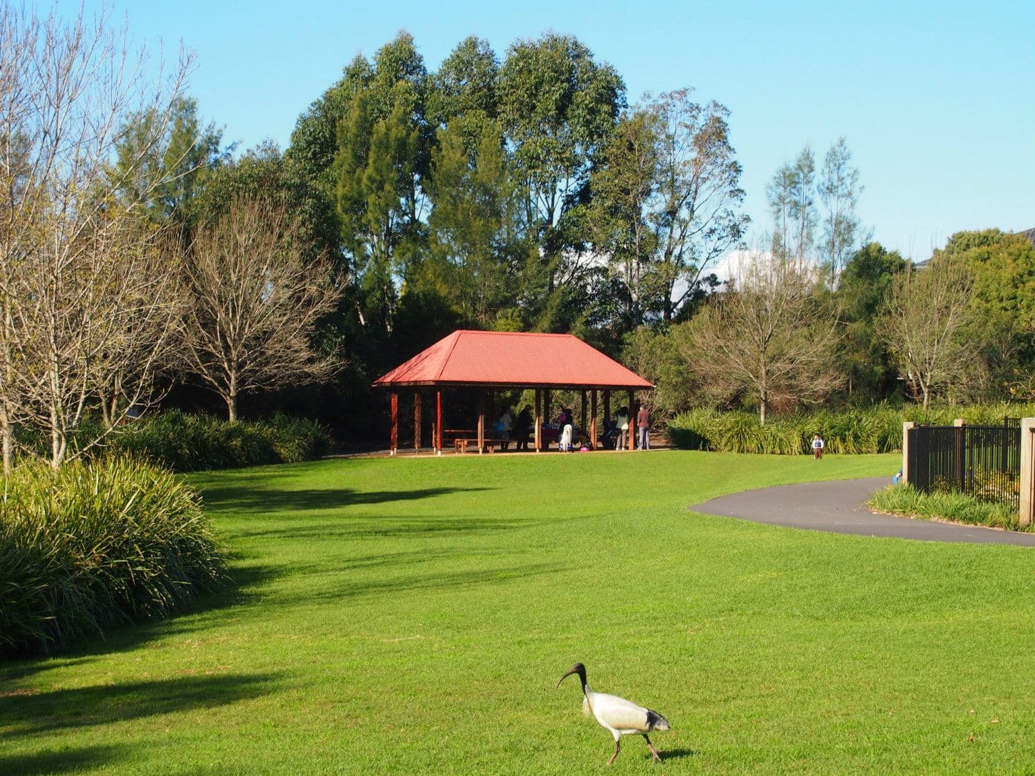 211 QUARRY Road, RYDE NSW 2112, Ryde - Thumbnail 8