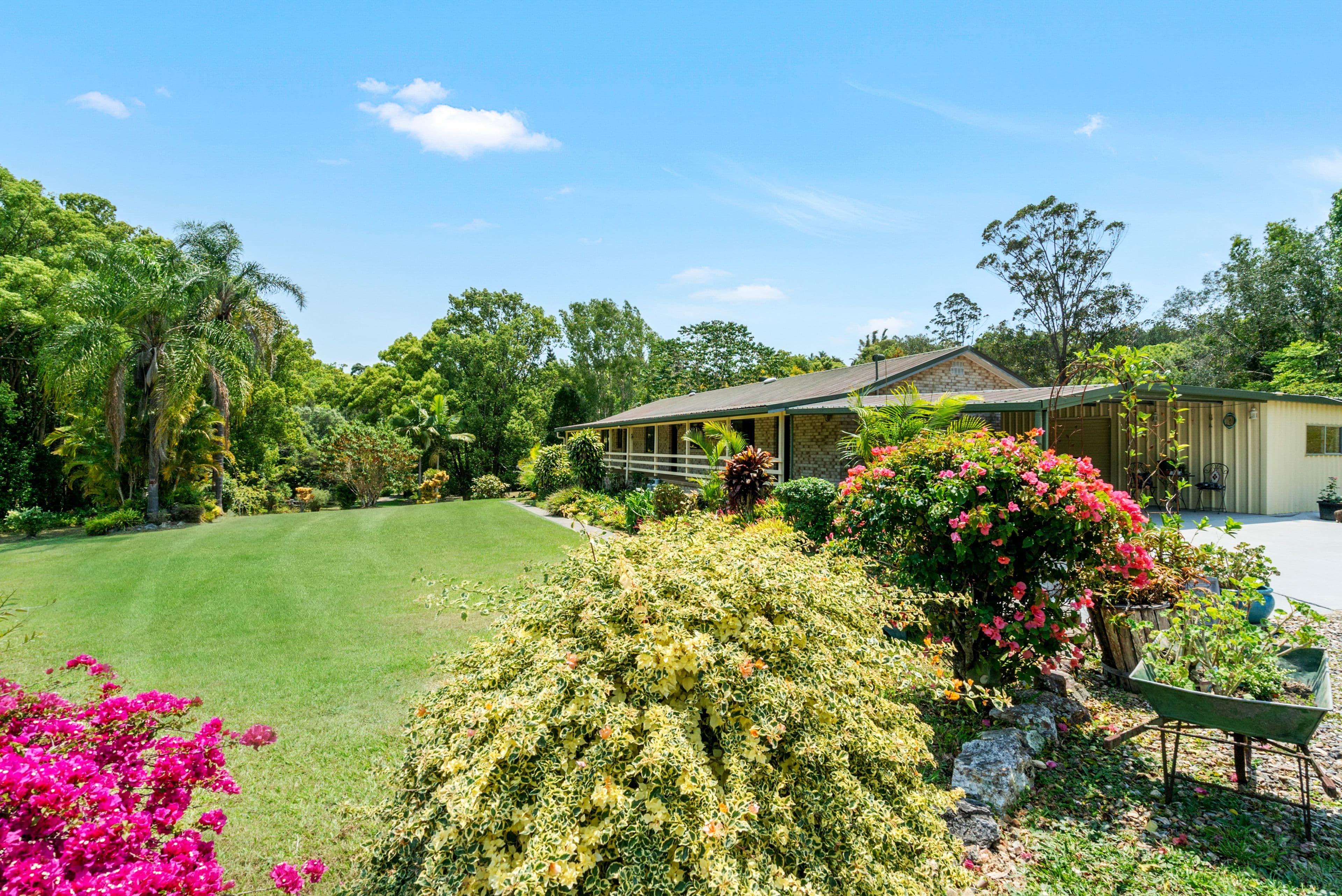 8 Minto Place, Smiths Creek NSW 2484, Smiths Creek - Thumbnail 2