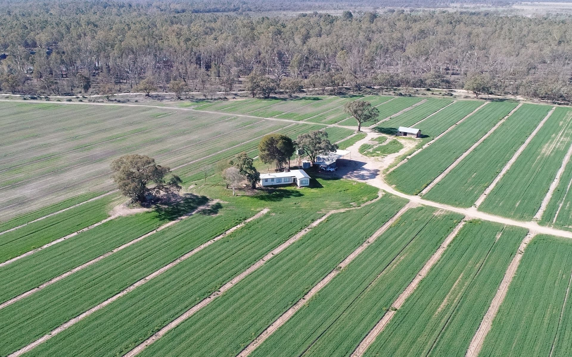 87 Blake Road, Iraak - Thumbnail 4