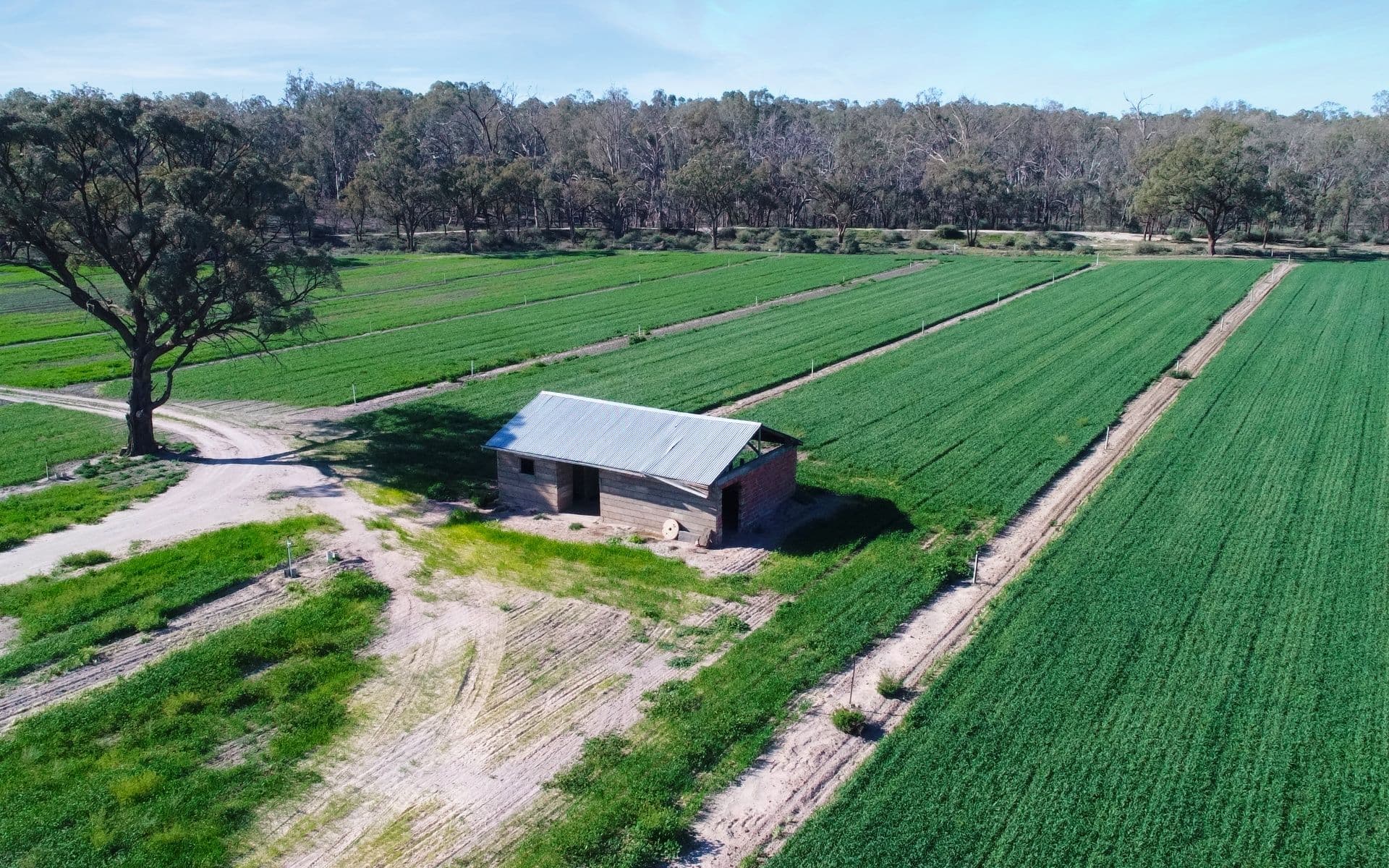 87 Blake Road, Iraak - Thumbnail 7