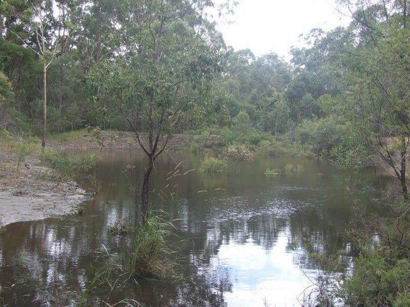 339 Perseverance Dam Road, CROWS NEST QLD 4355, Crows Nest - Thumbnail 2