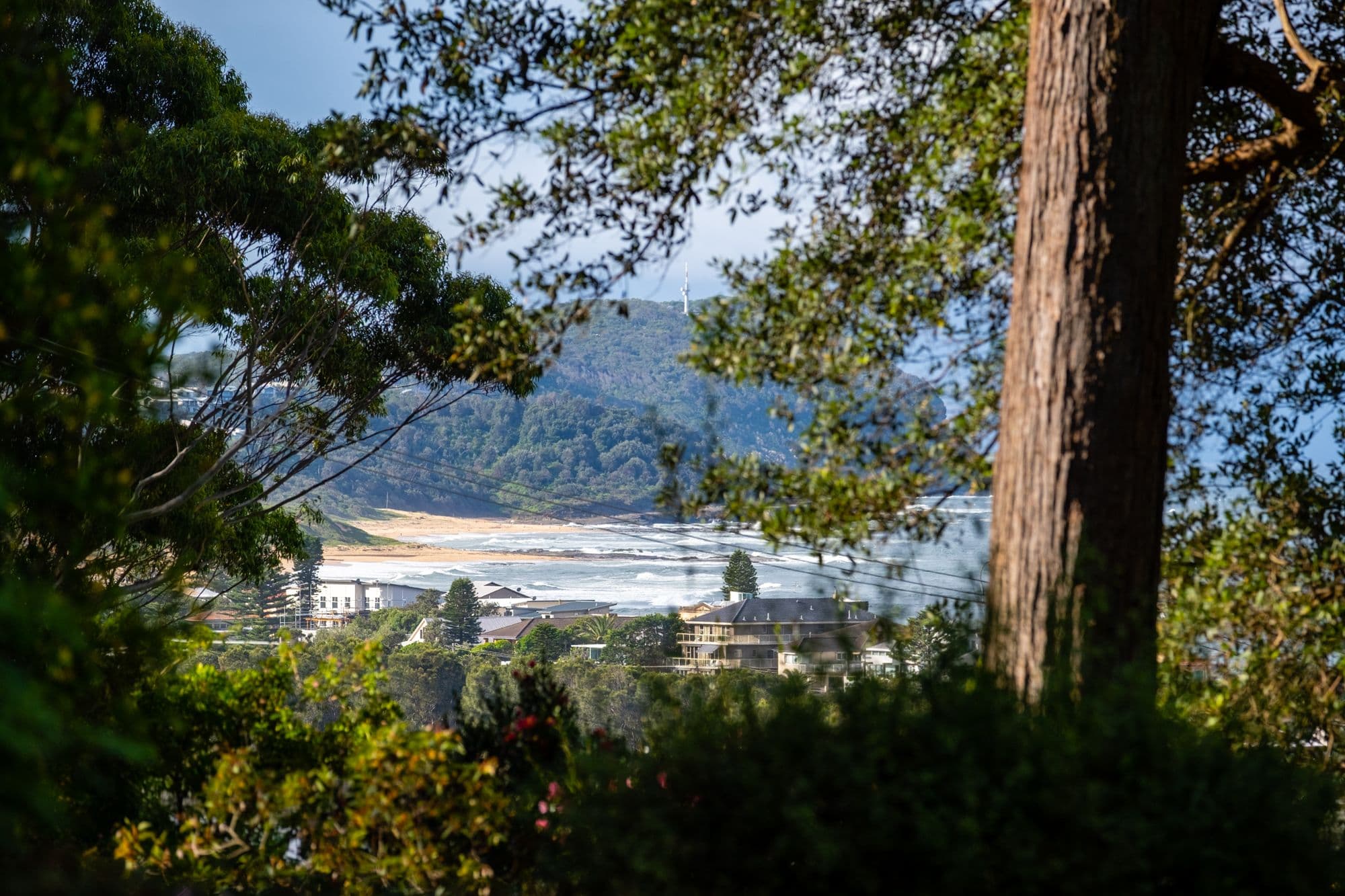 1 Cottee Crescent, Terrigal NSW 2260, Terrigal - Thumbnail 4