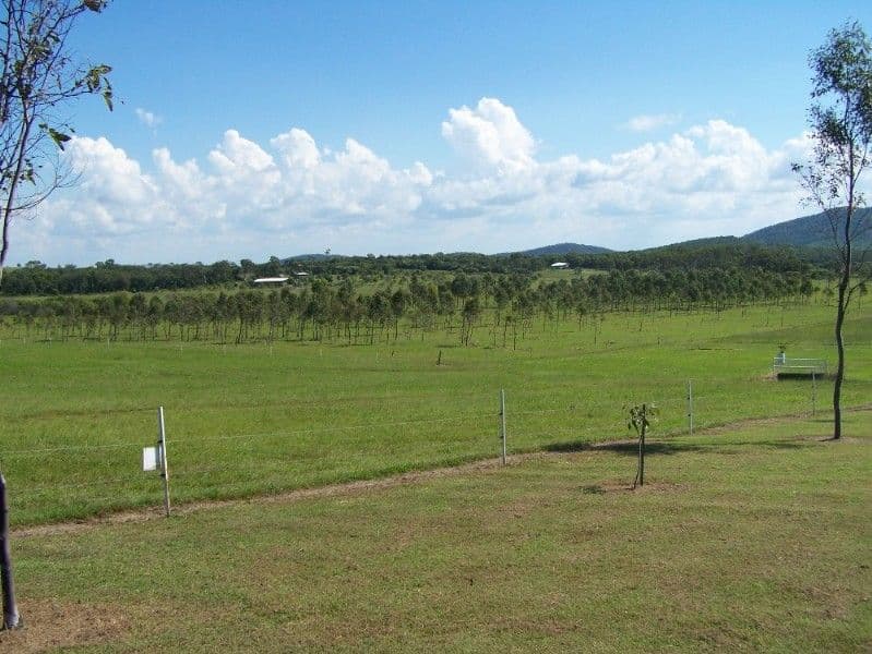 155 Byfield Road, YEPPOON QLD 4703, Yeppoon - Thumbnail 6