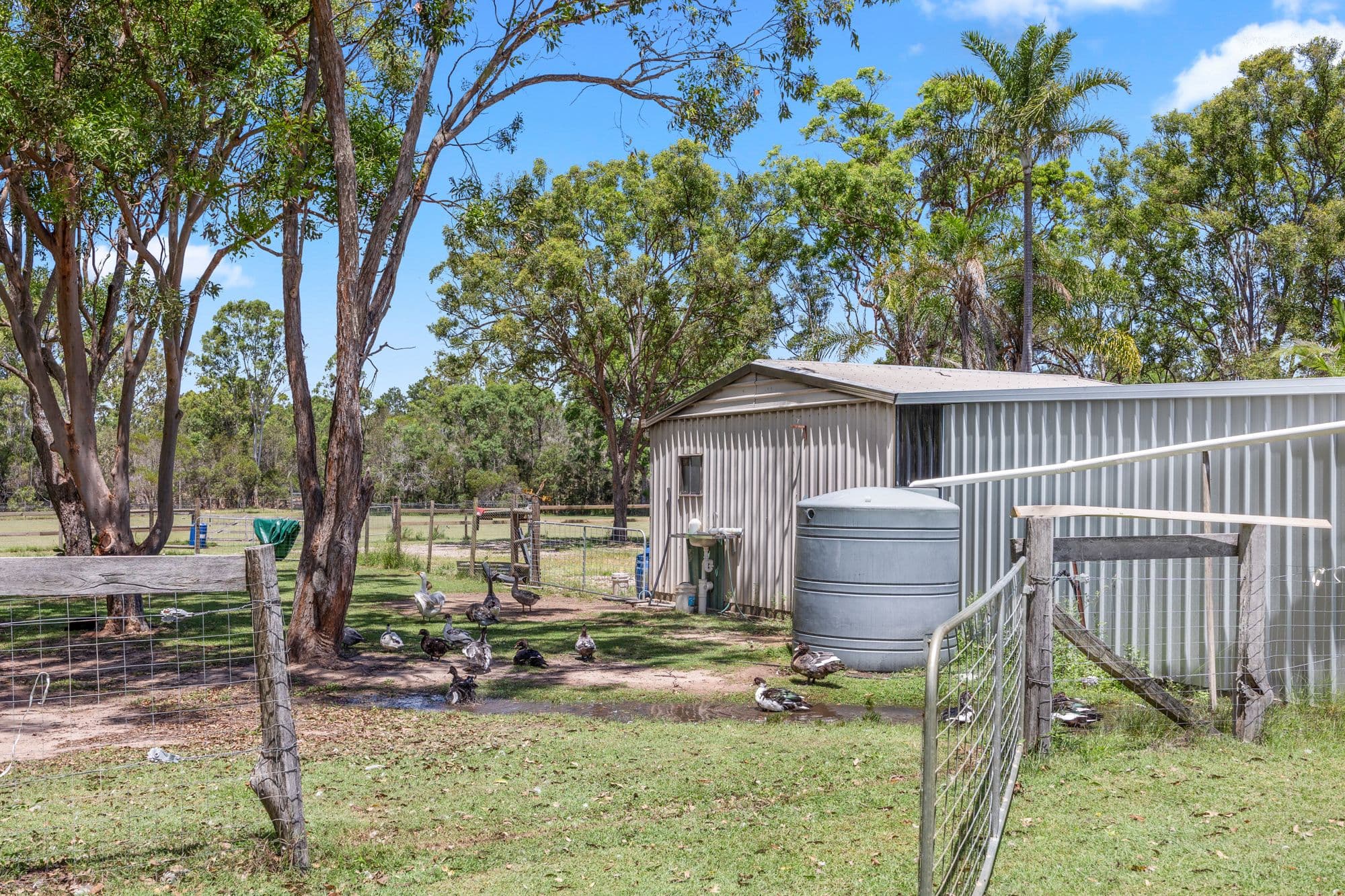 30 Wheeley Road, Booral QLD 4655, Booral - Thumbnail 8