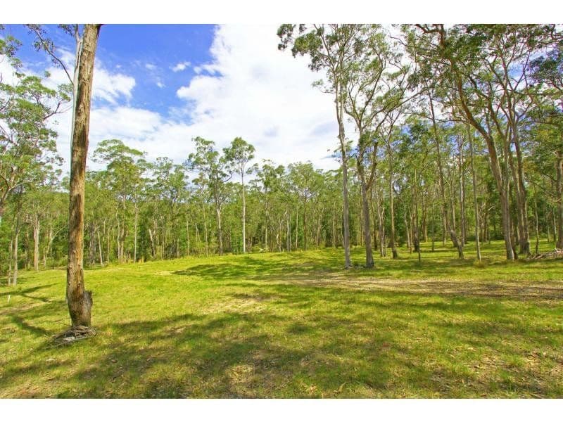 890 Dicksons Road, Dooralong NSW 2259, Dooralong - Image 1