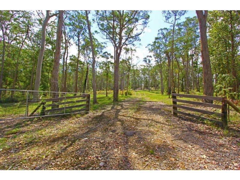 890 Dicksons Road, Dooralong NSW 2259, Dooralong - Thumbnail 2