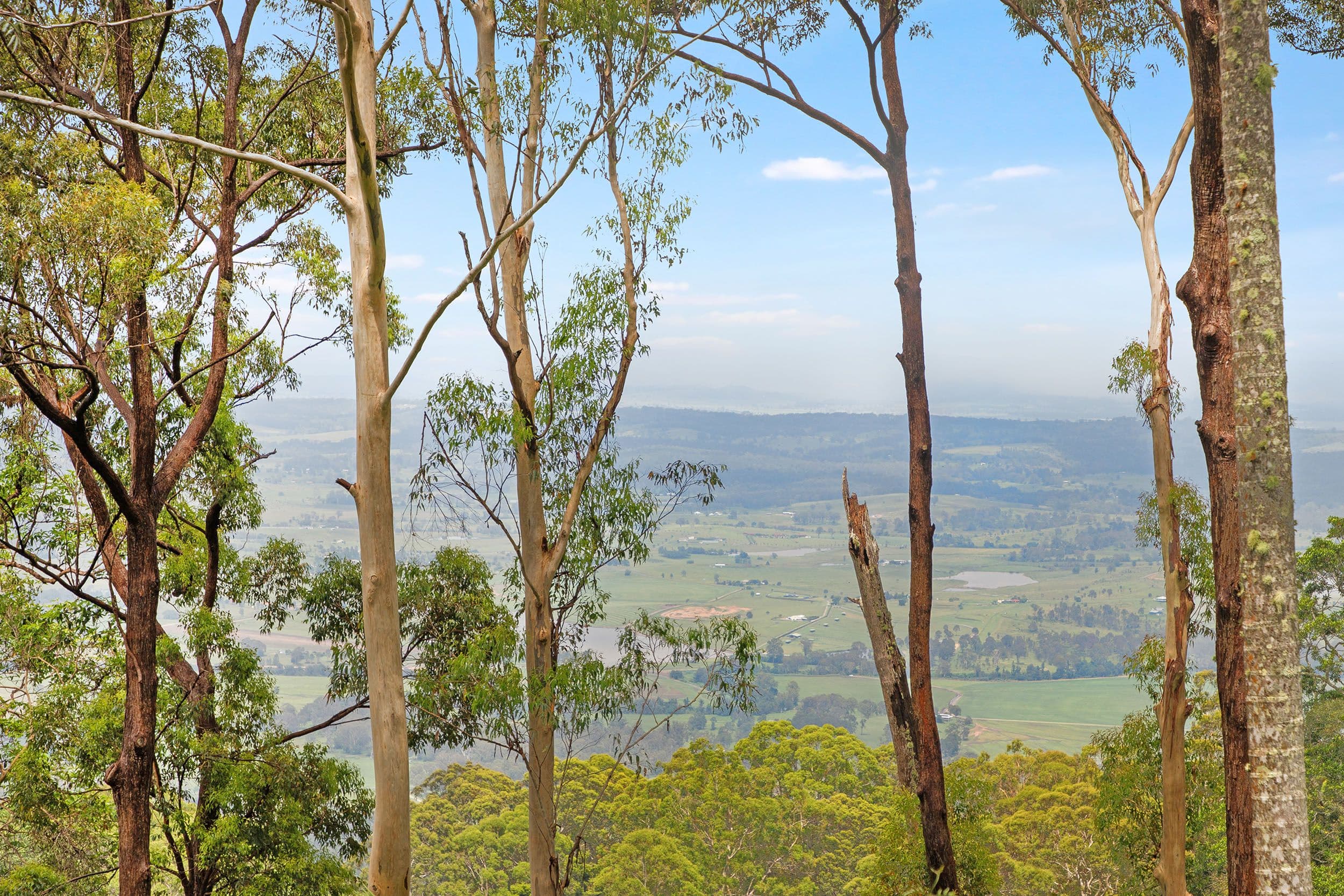 198-200 Beacon Road, Tamborine Mountain QLD 4272, Tamborine Mountain - Thumbnail 2