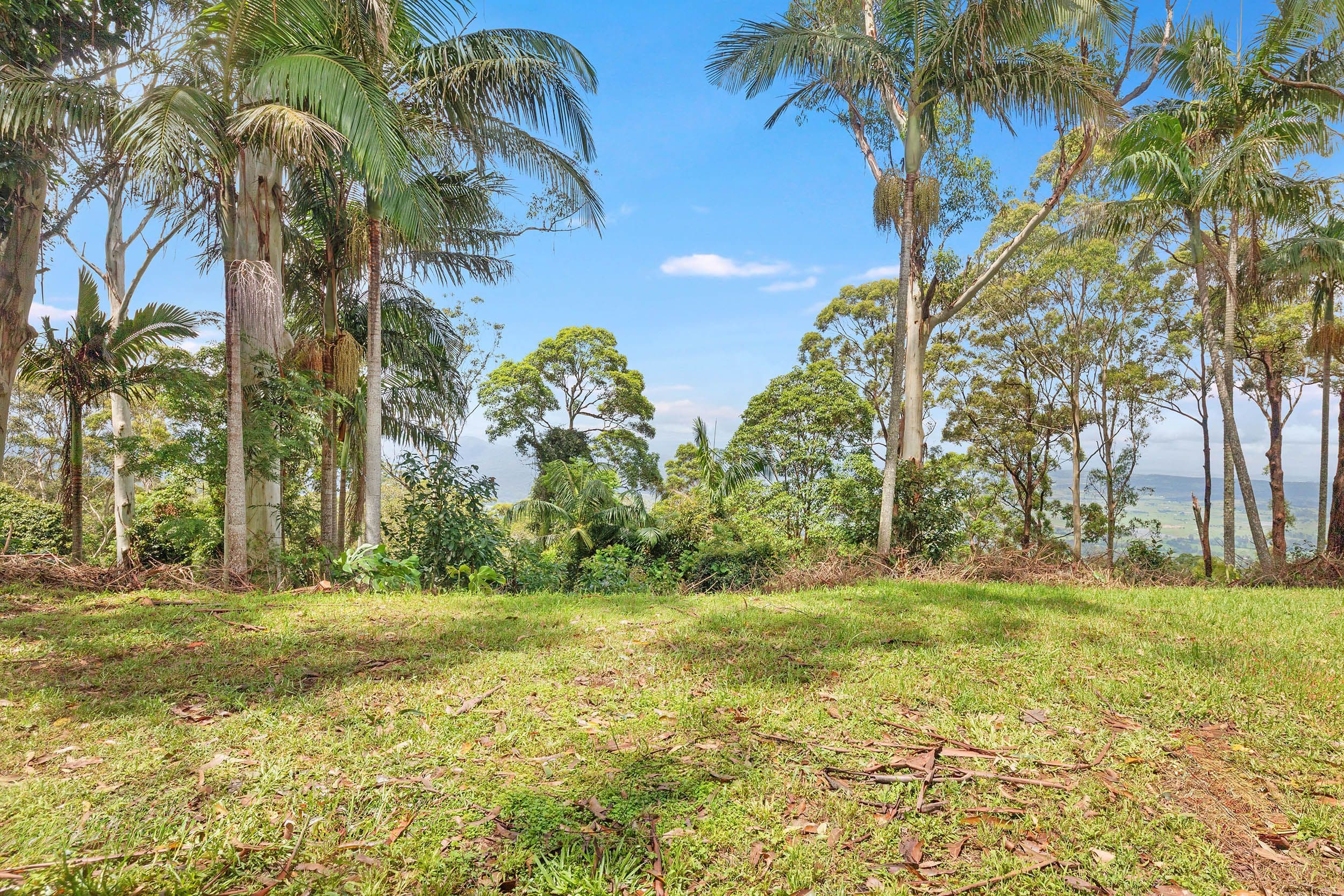 198-200 Beacon Road, Tamborine Mountain QLD 4272, Tamborine Mountain - Thumbnail 4