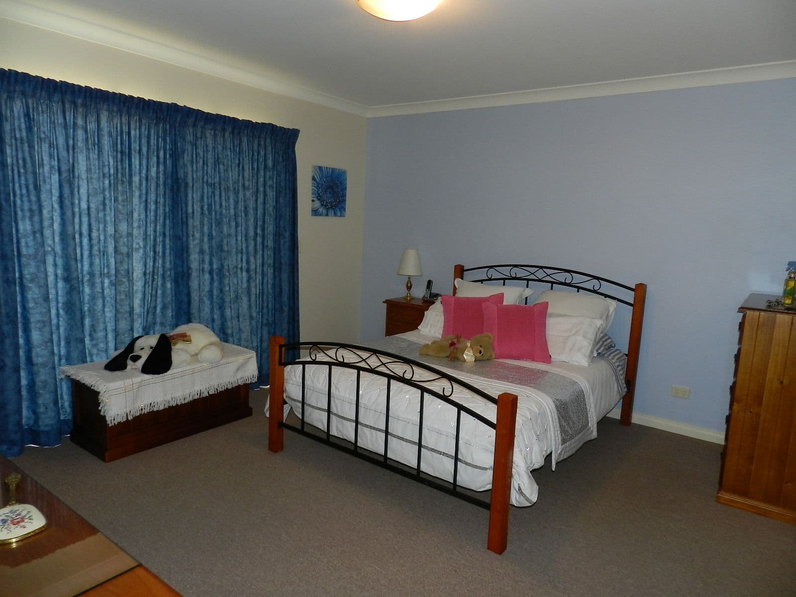 13 Milich Court, LOXTON SA 5333, Loxton - Thumbnail 7