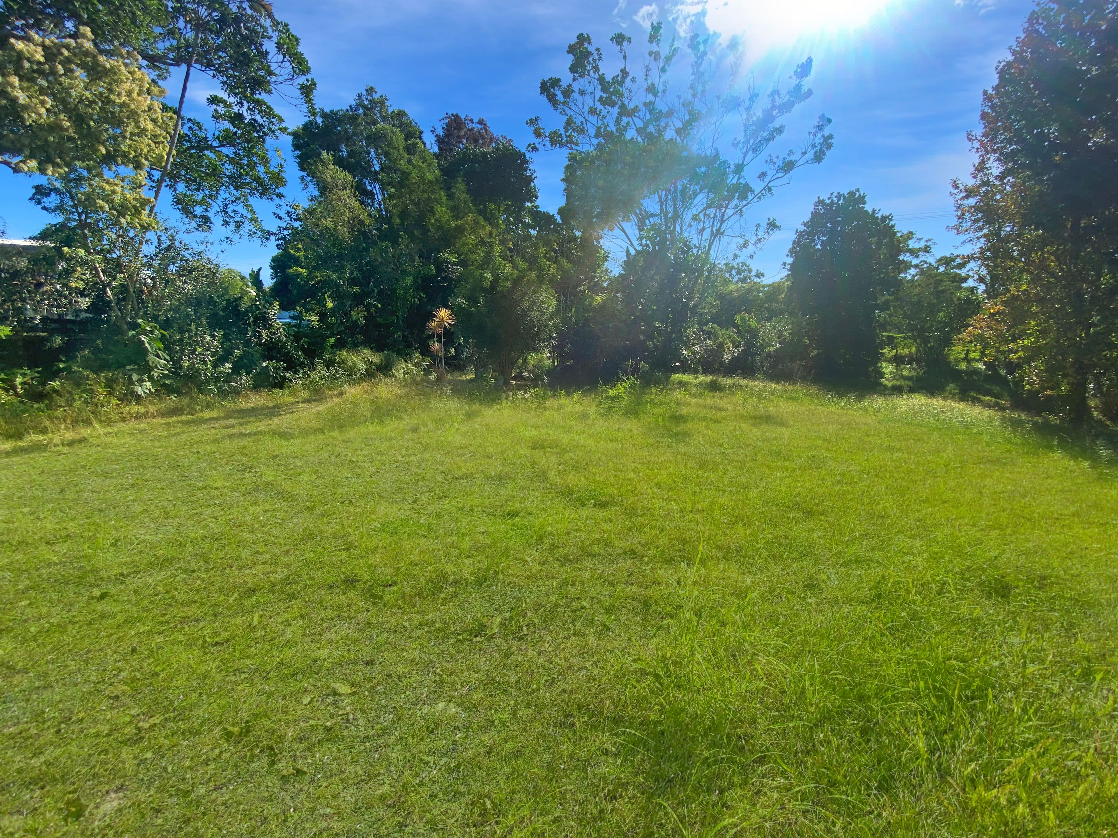 53 Landsborough - Maleny Road, Landsborough QLD 4550, Landsborough - Image 1